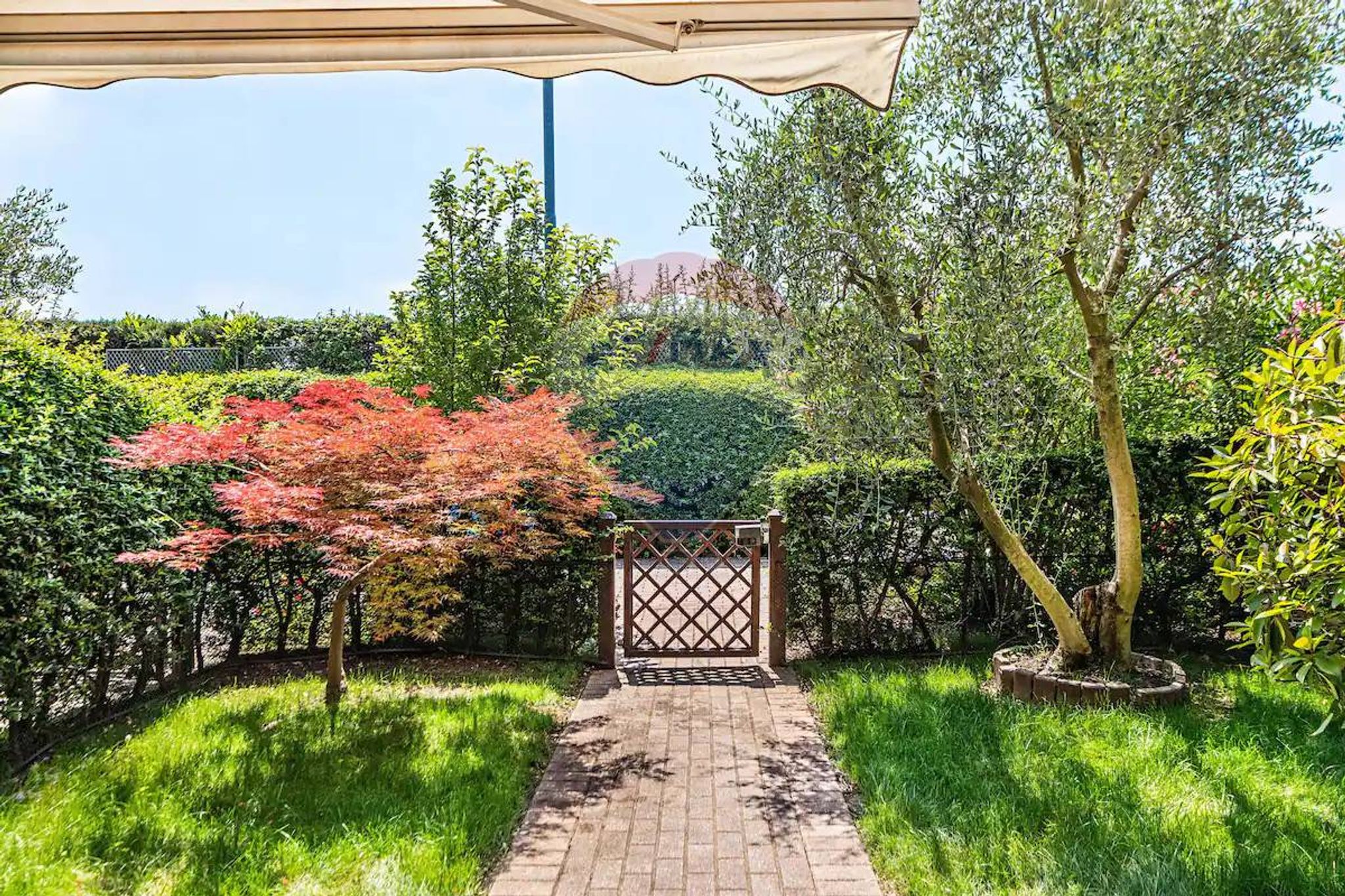 Giardino