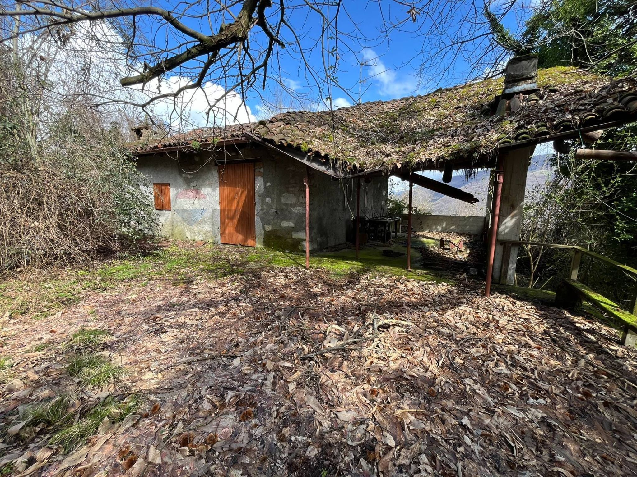 Property in Albino