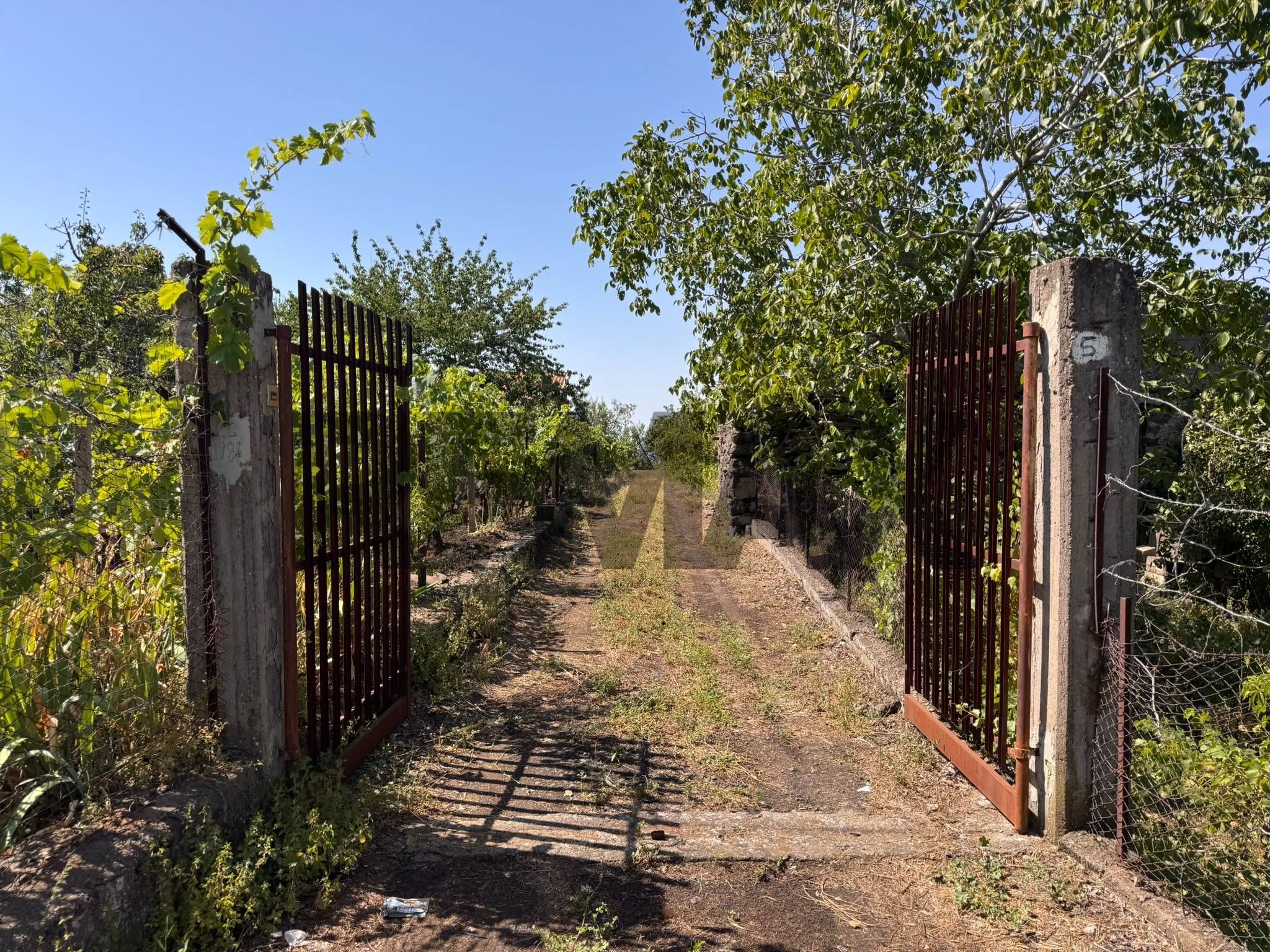 Giardino