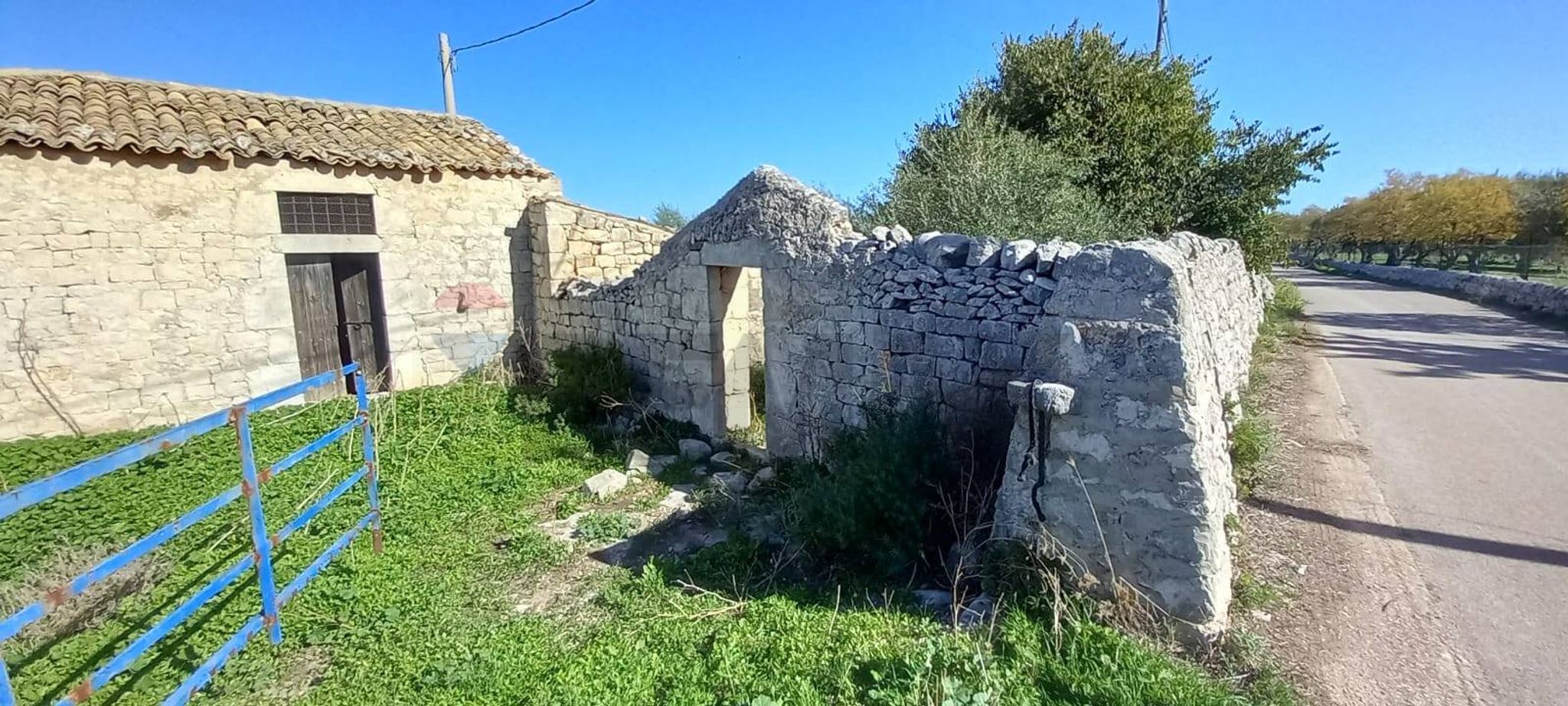 Giardino
