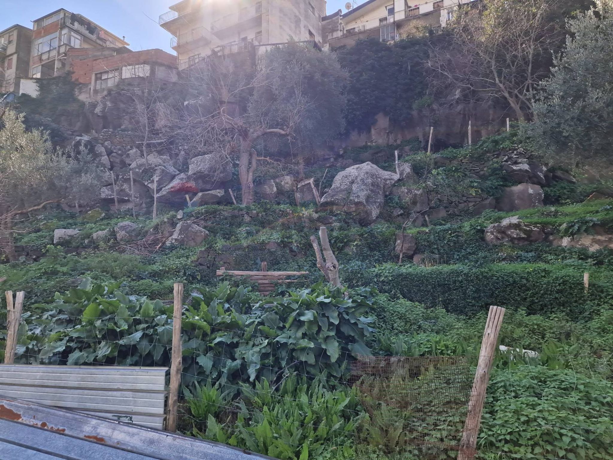 Giardino