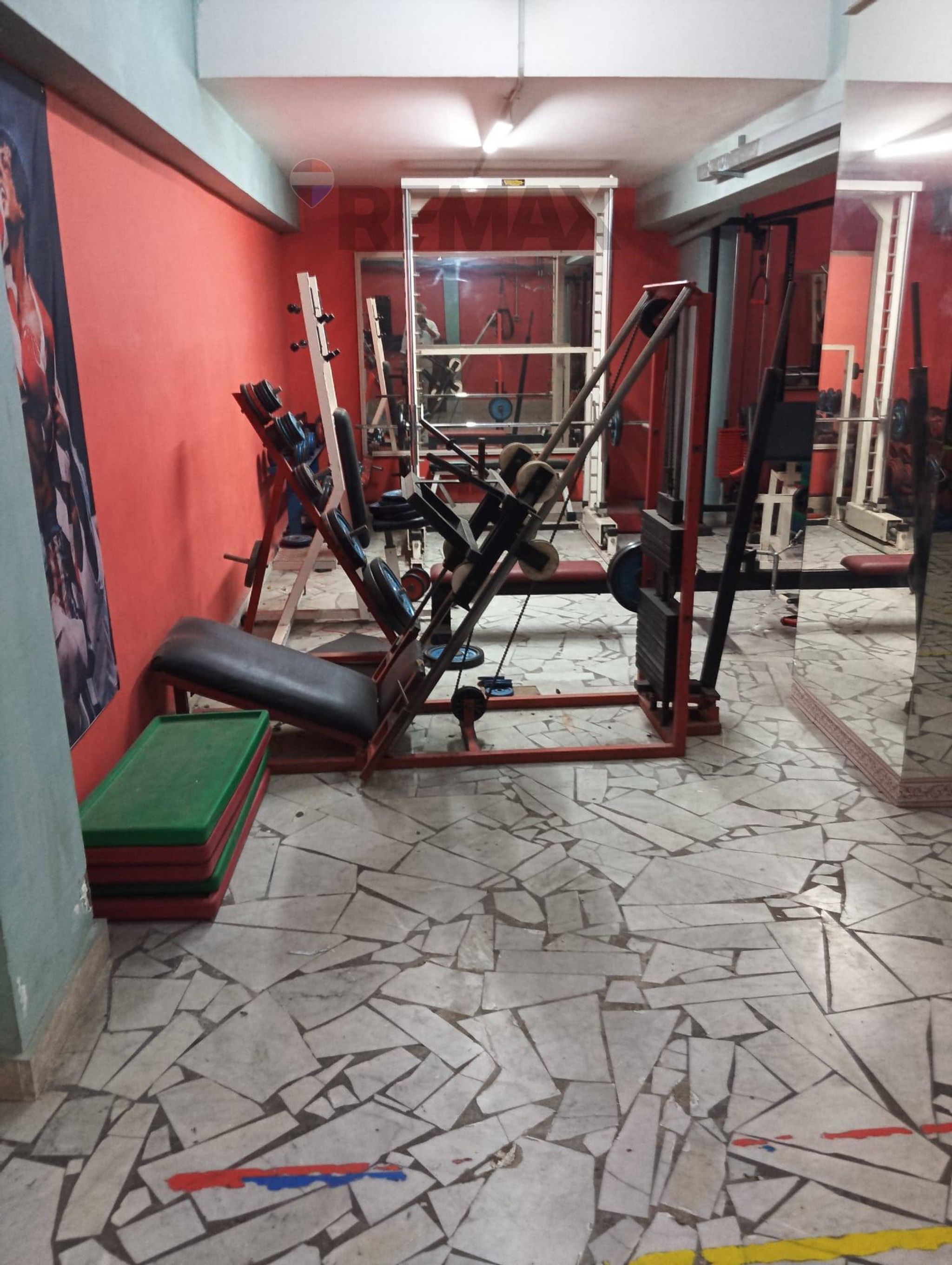 Palestra
