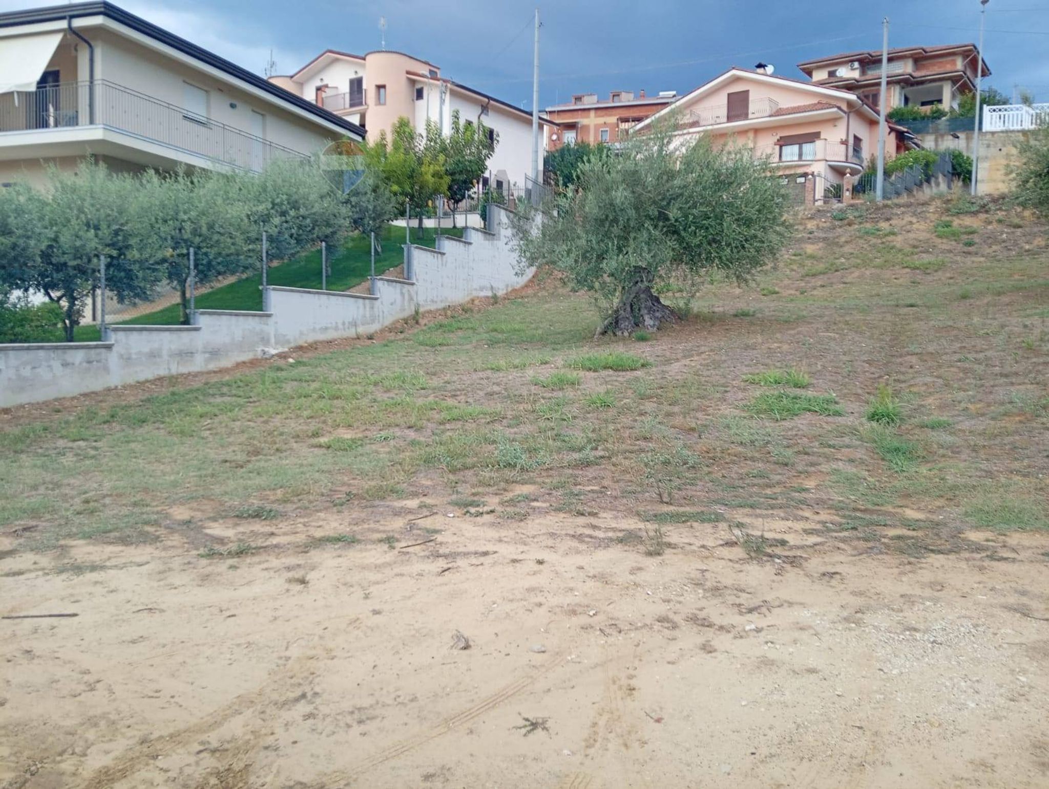 Giardino