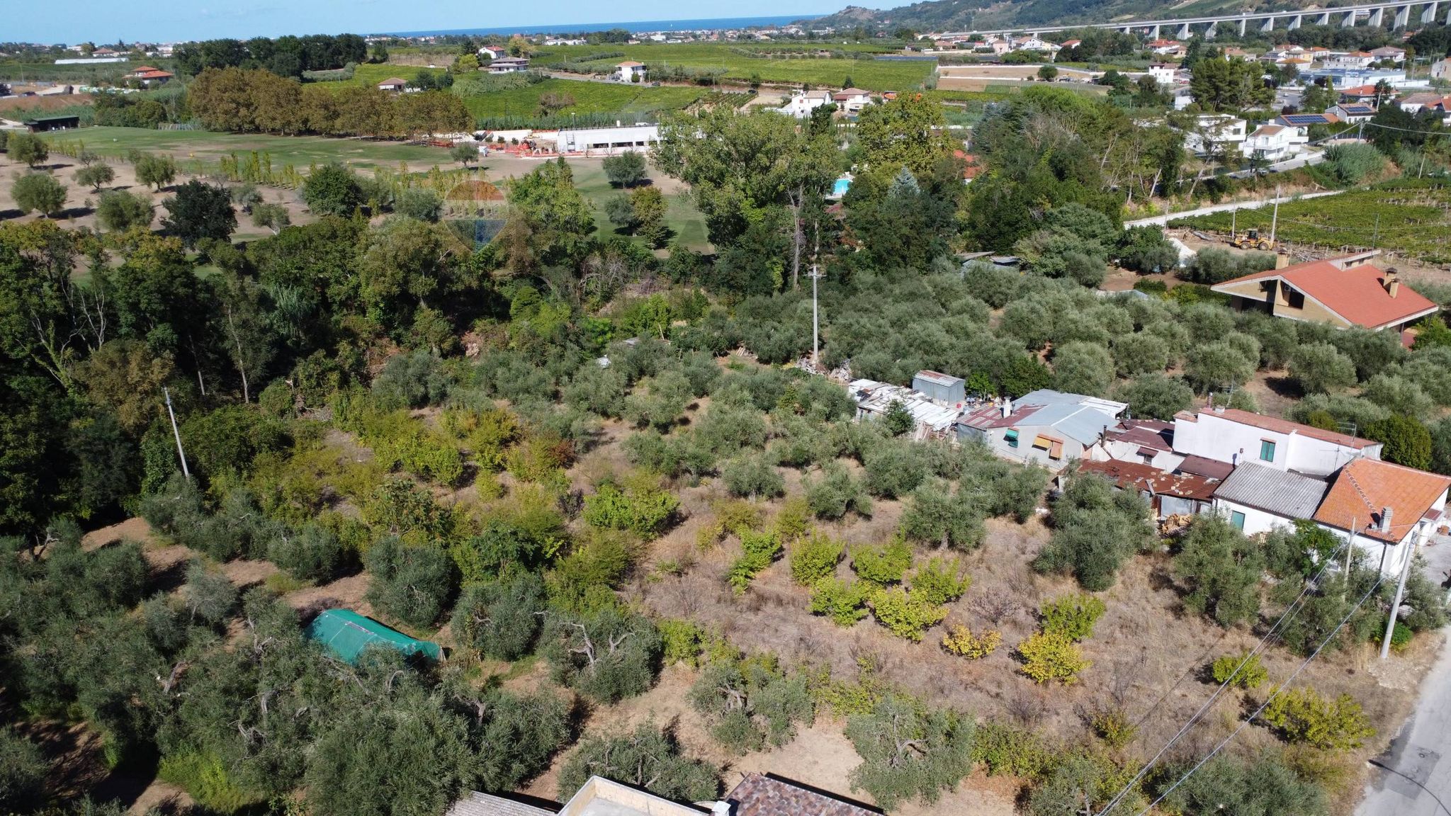 Property in Miglianico