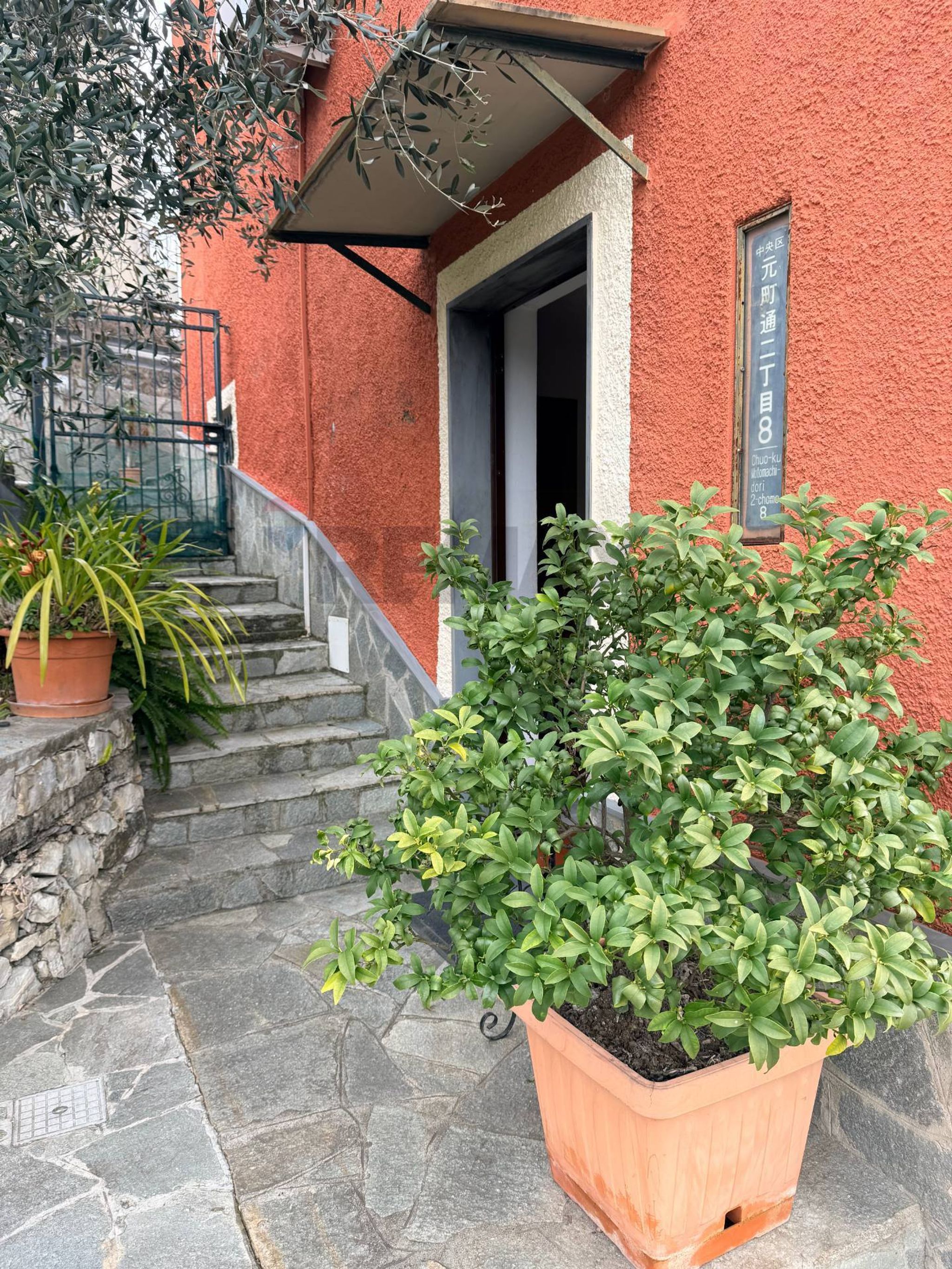 Giardino