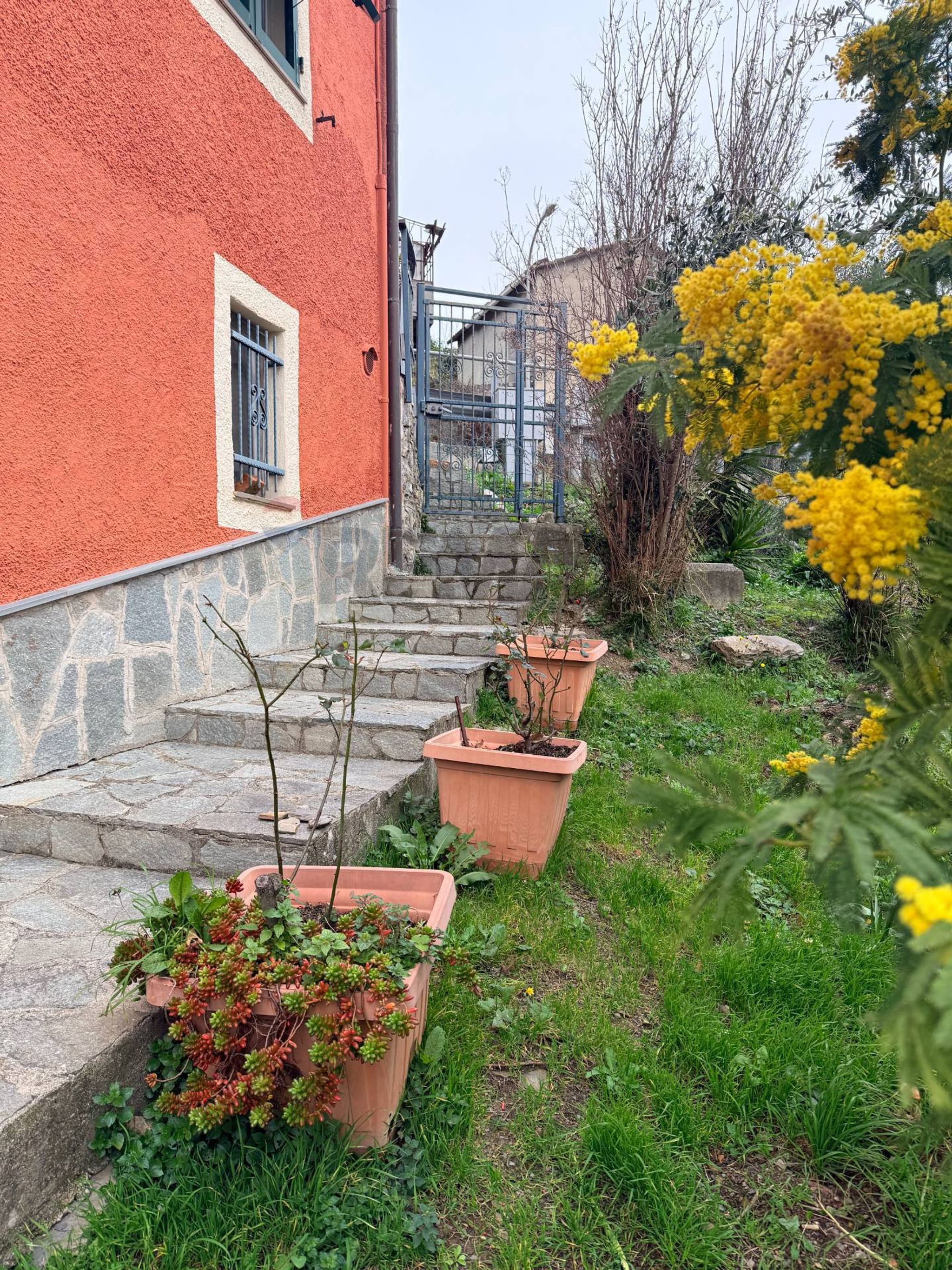 Giardino