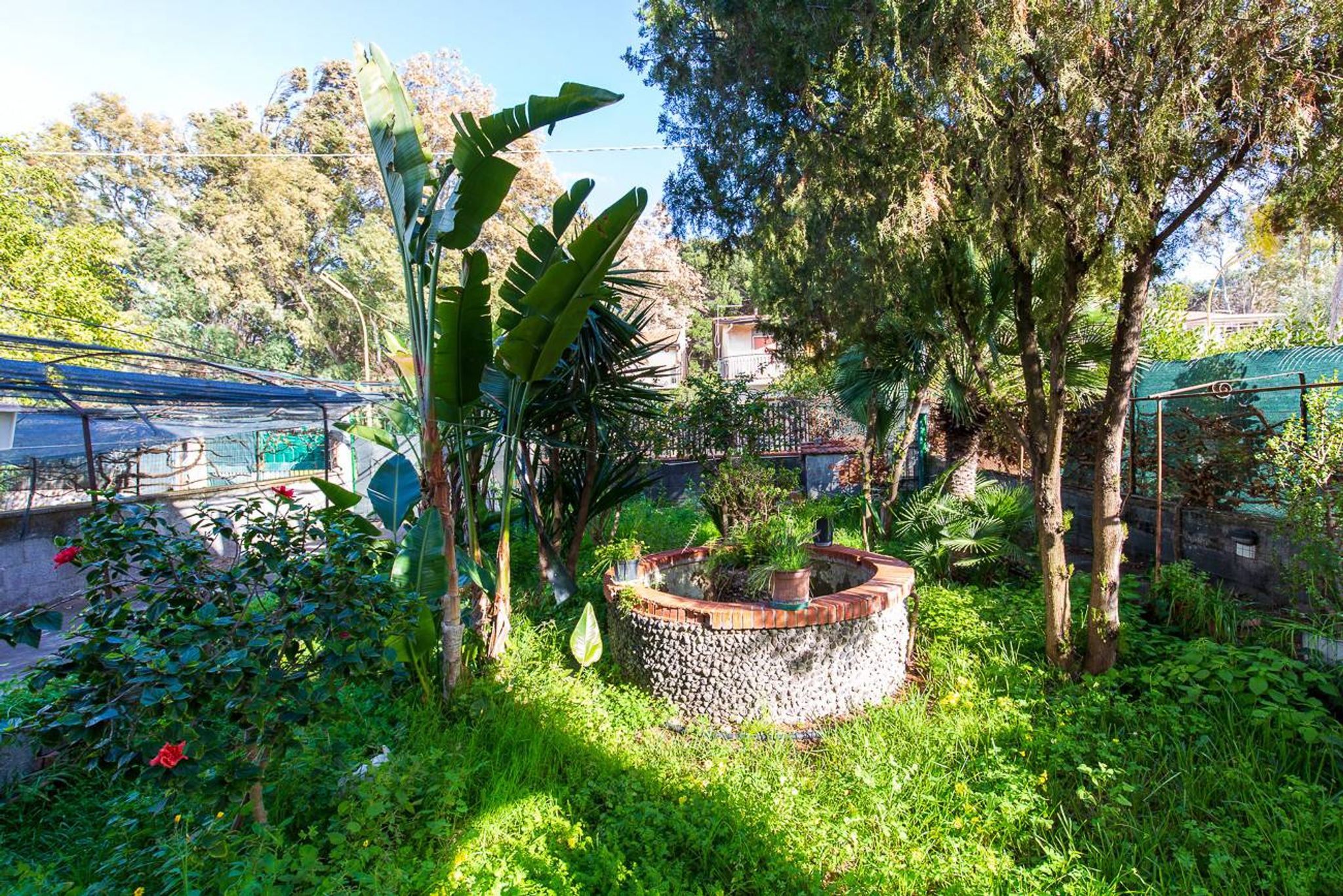 Giardino