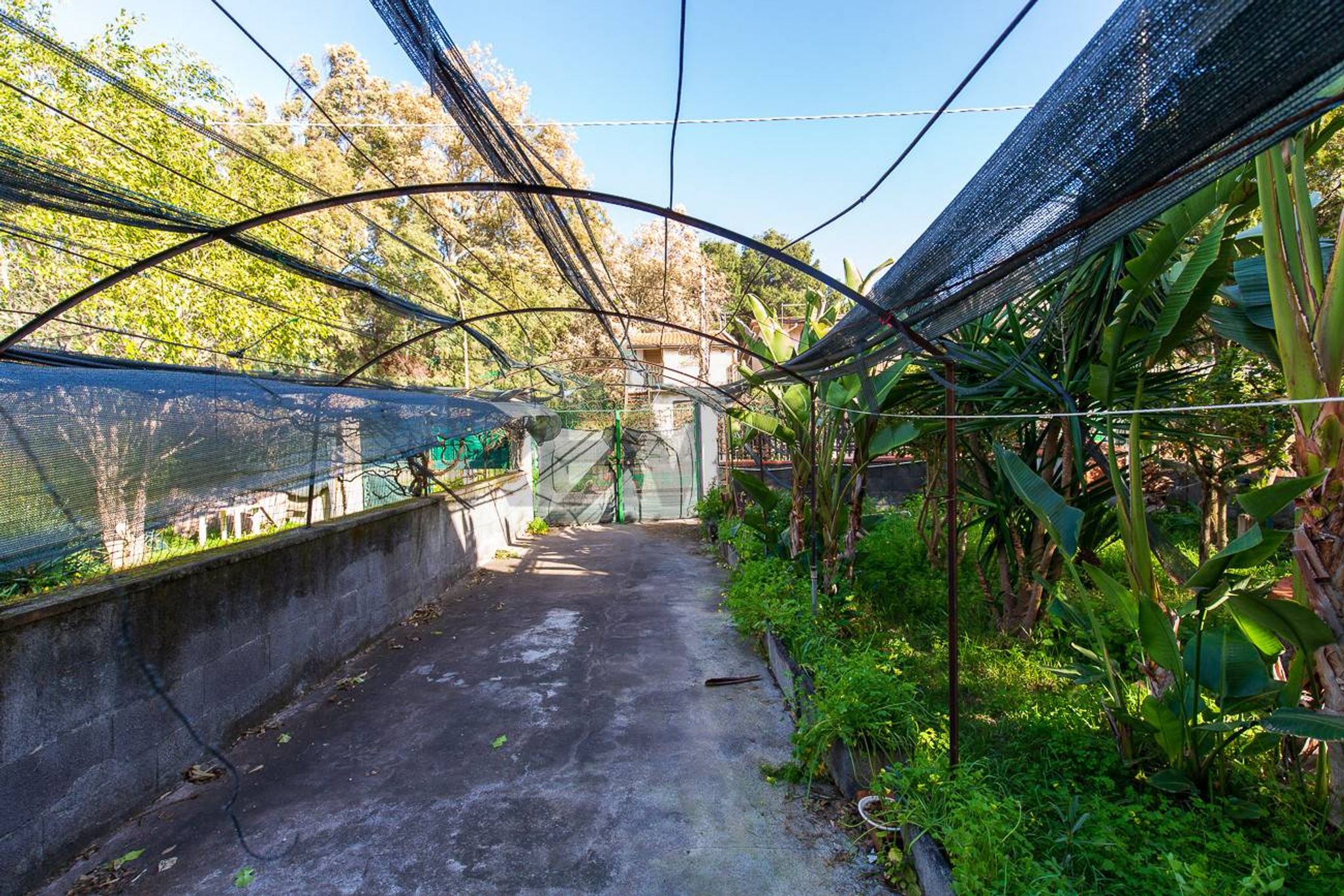 Giardino