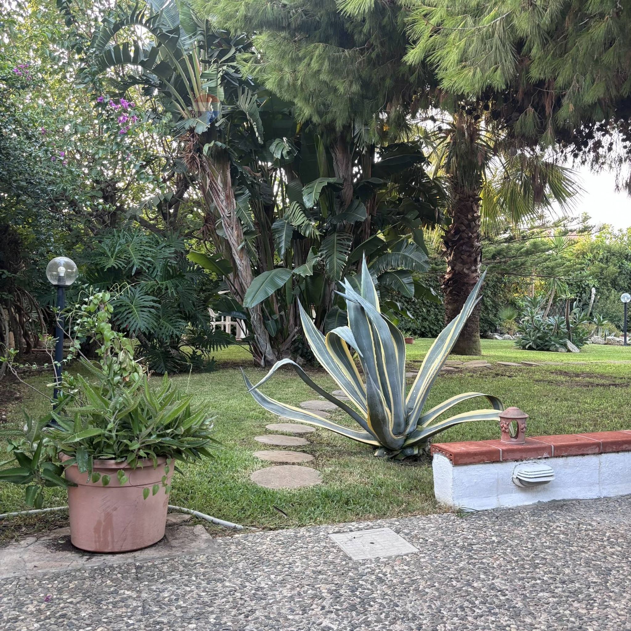 Giardino