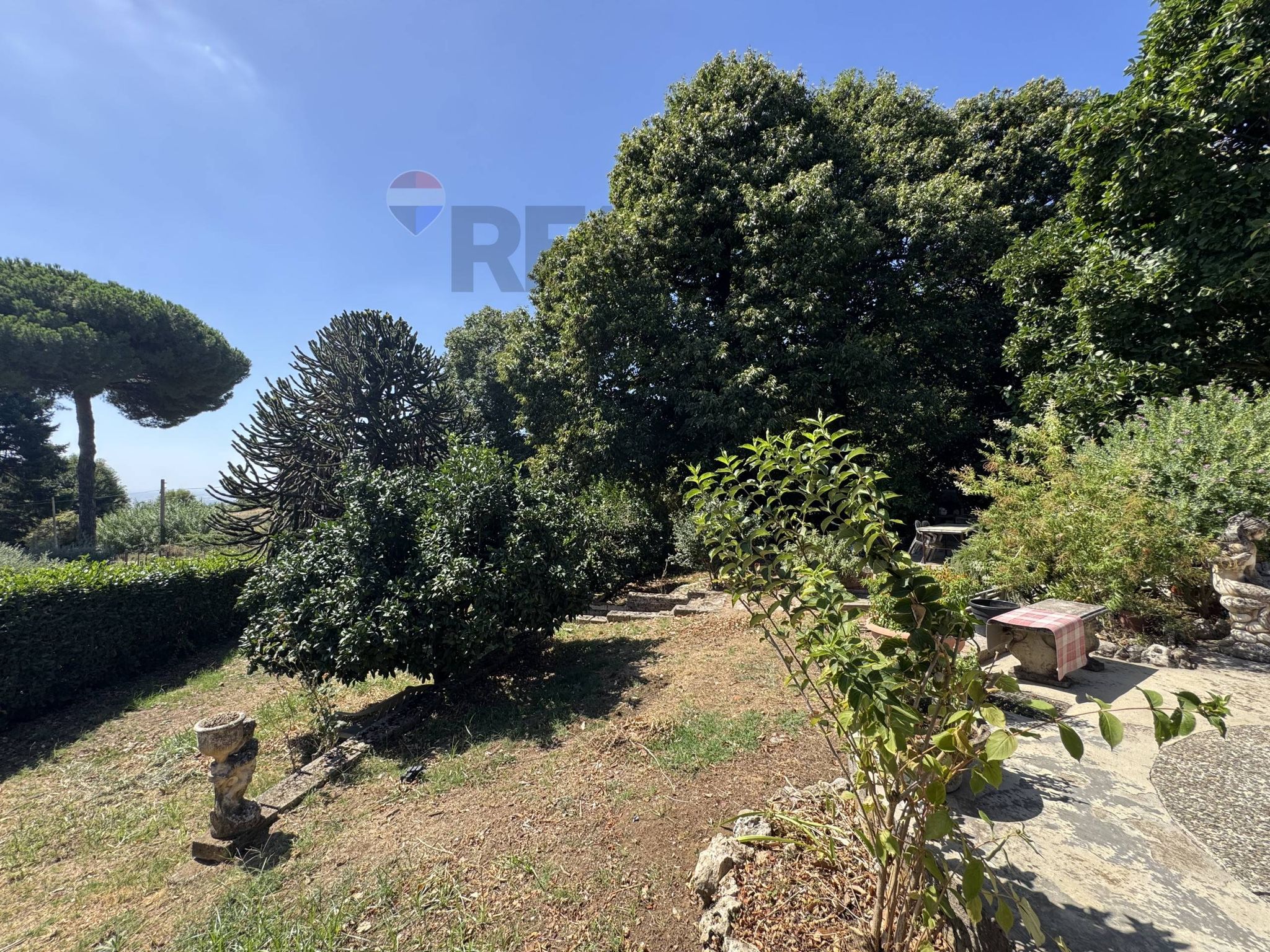 Giardino