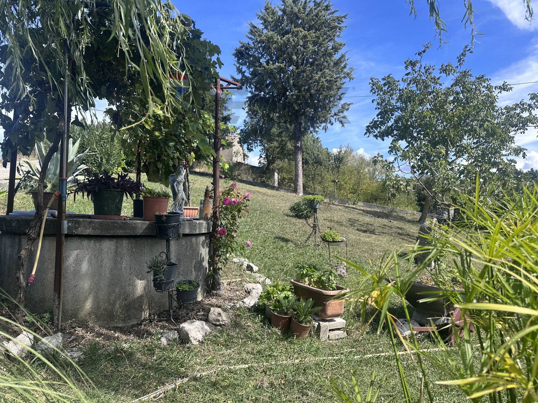 Giardino