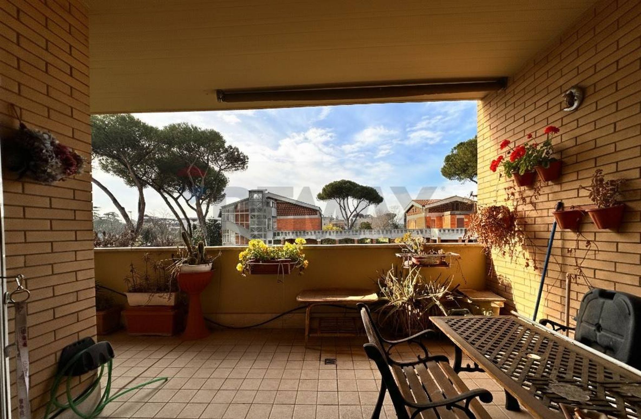 Terrazza
