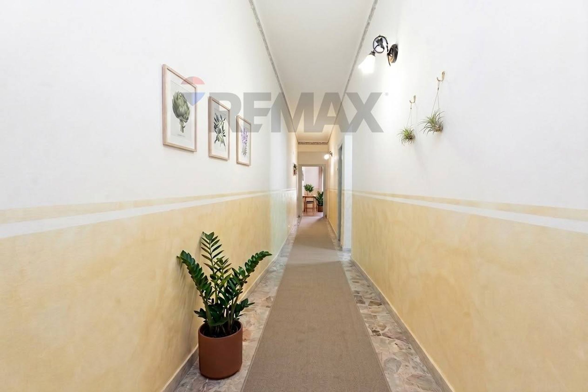 Hall / corridoio
