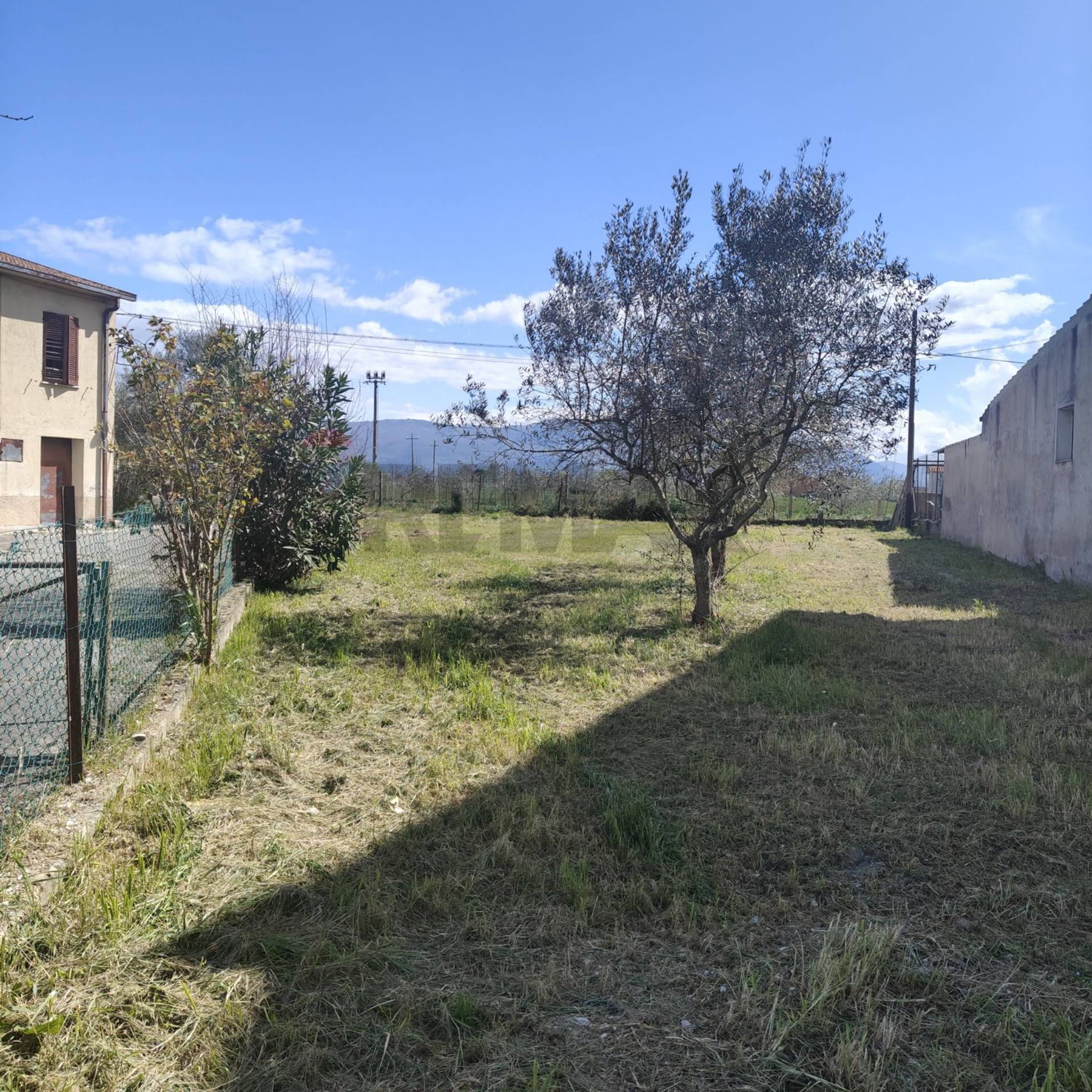 Giardino