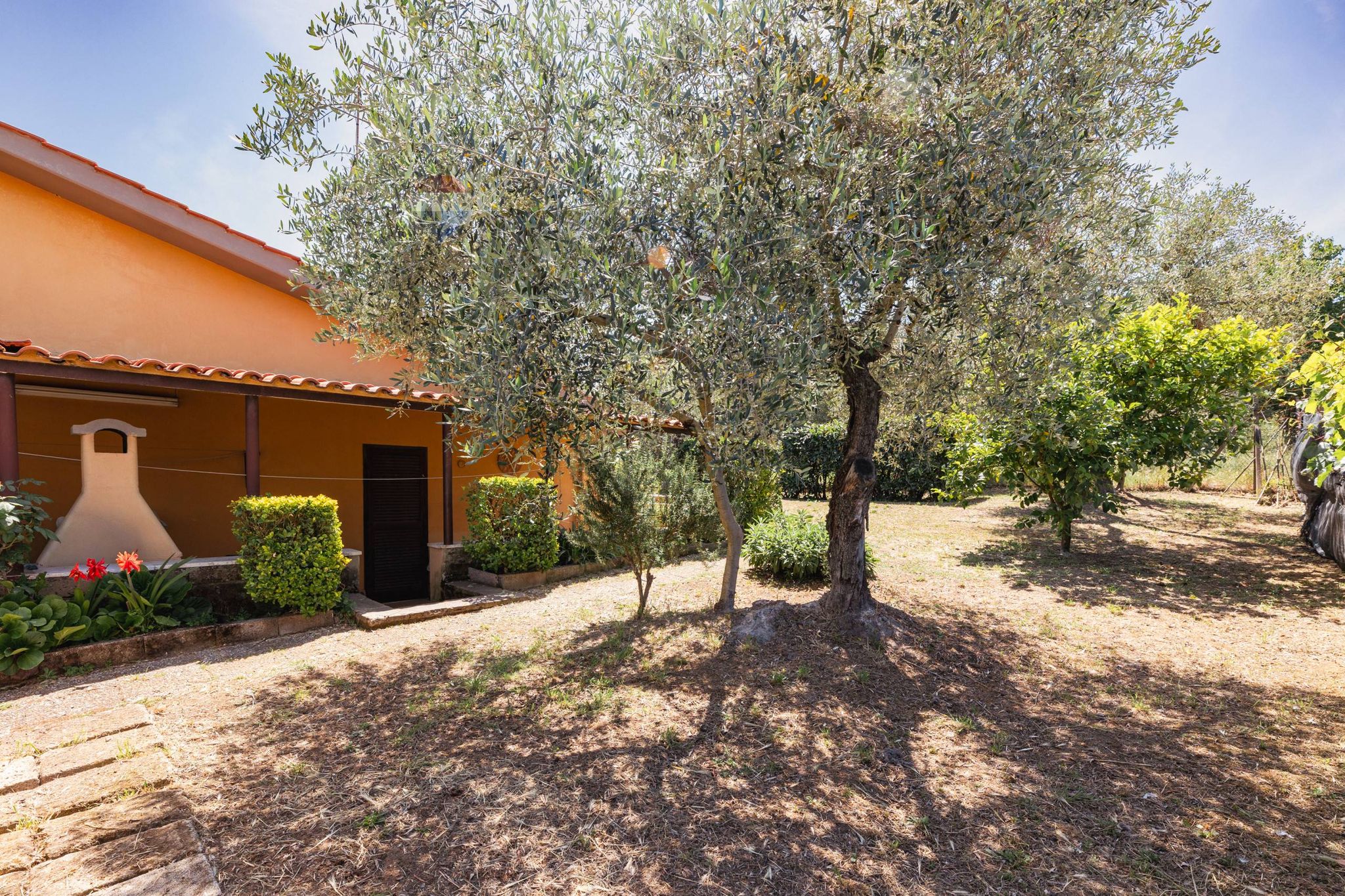 Giardino