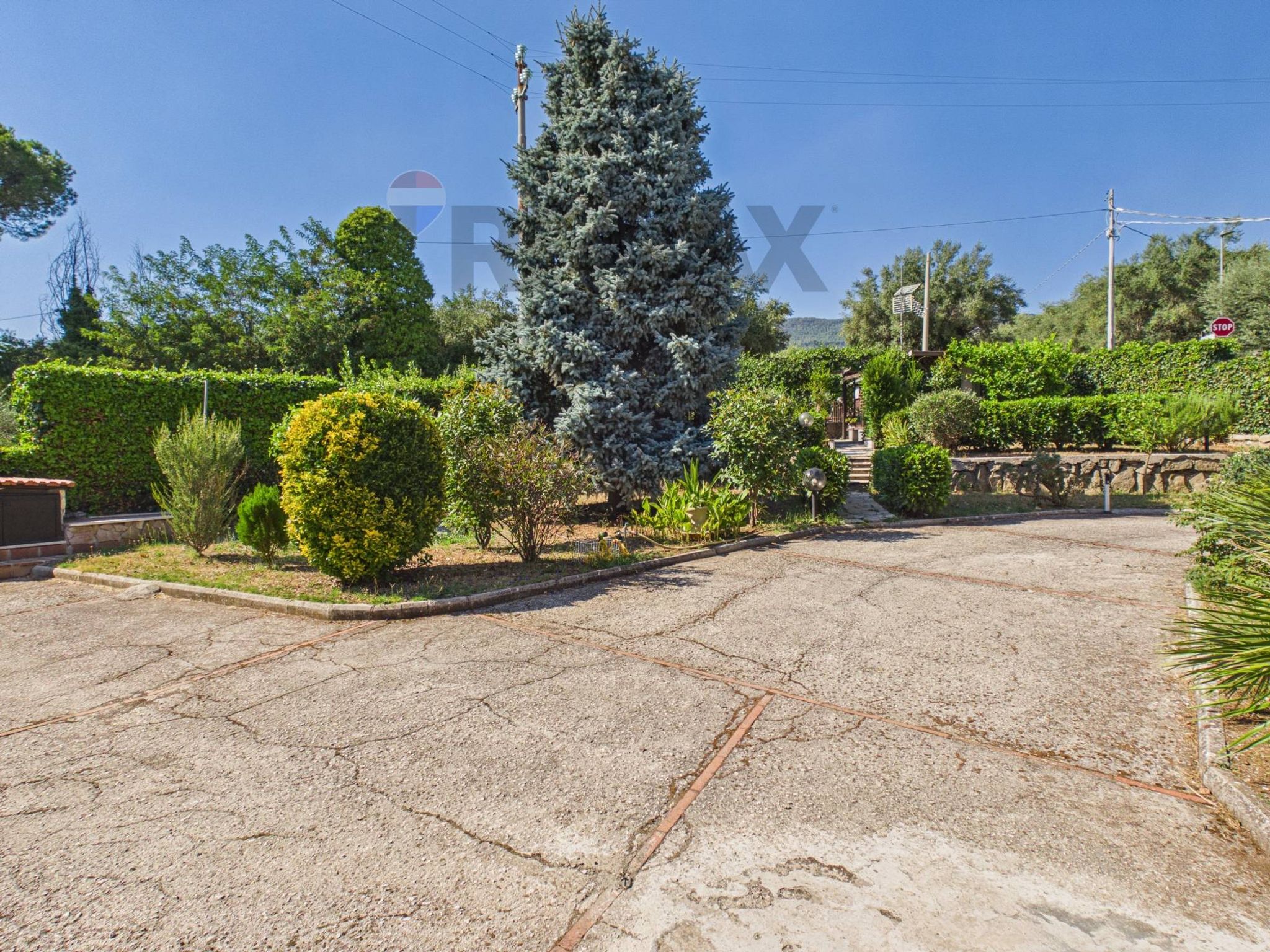 Giardino
