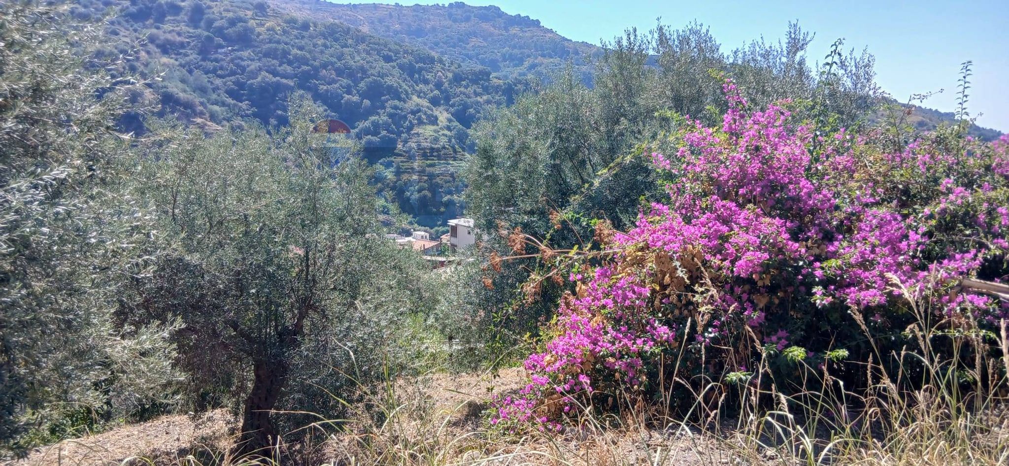 Vista delle montagne