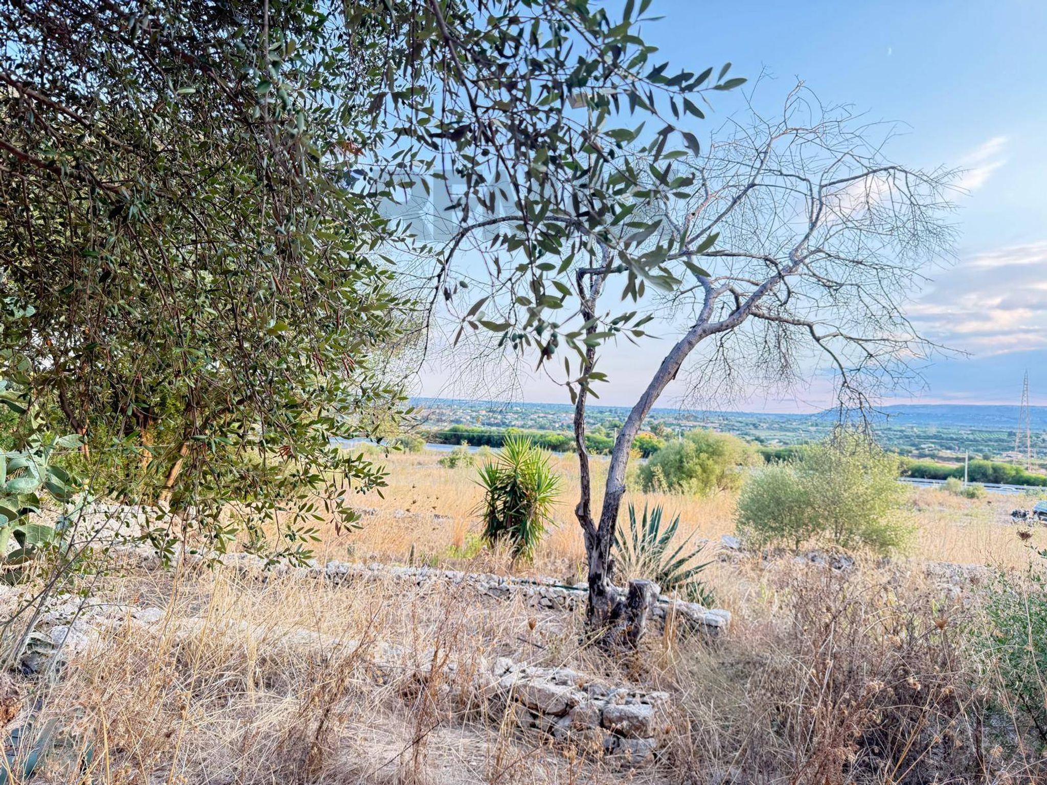 Vista delle montagne