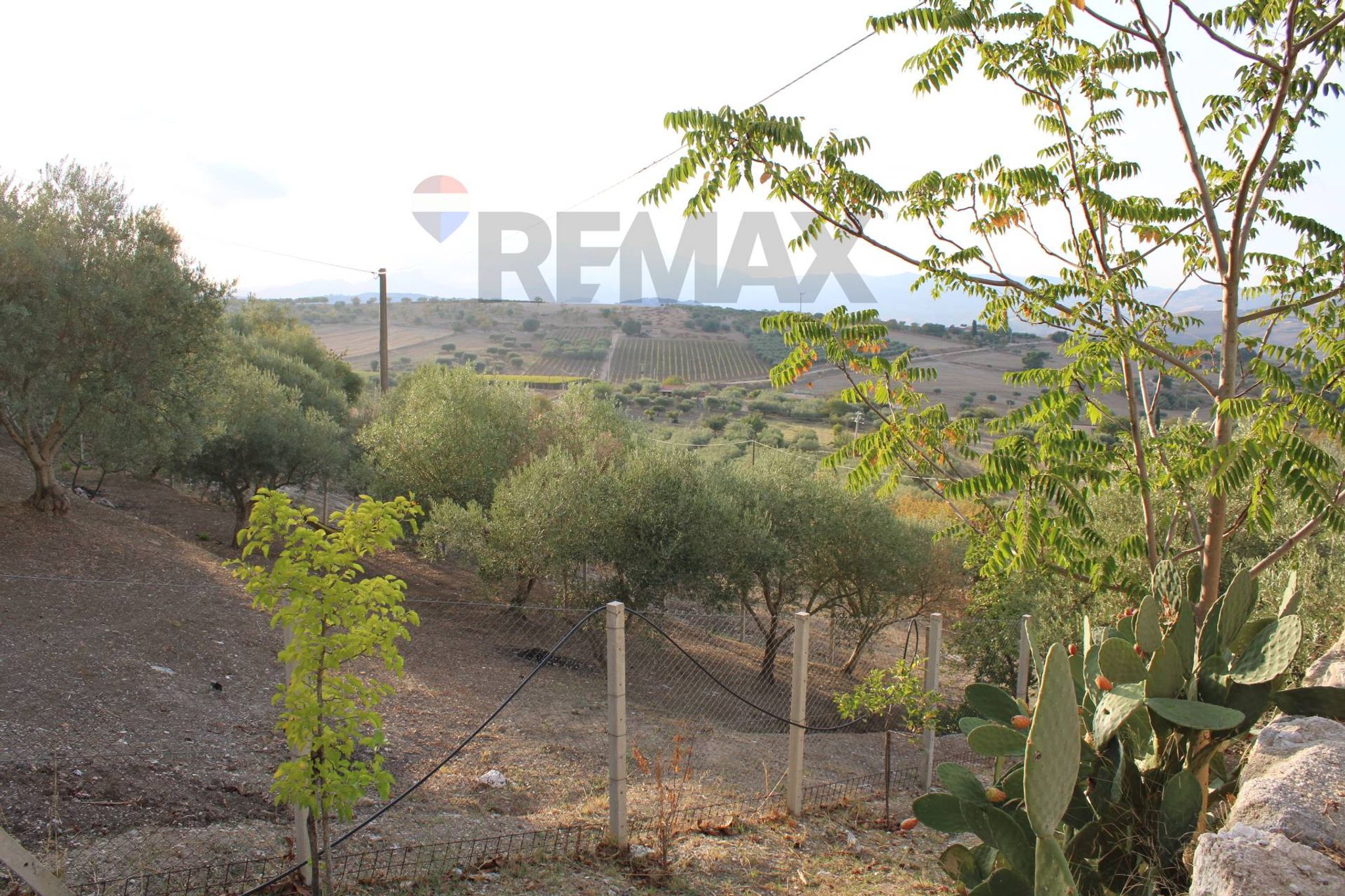 Property in San Cataldo