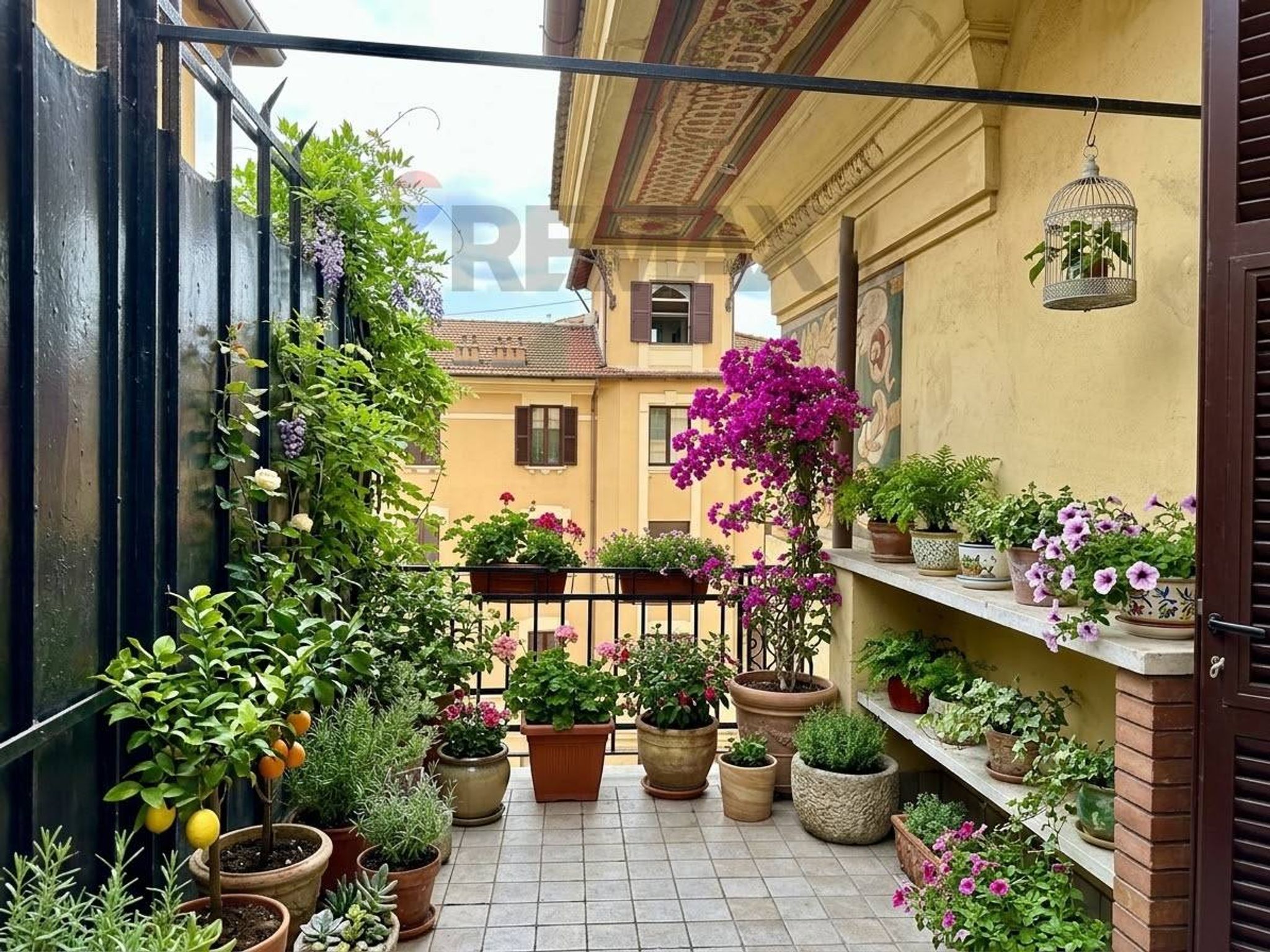 Property in Roma