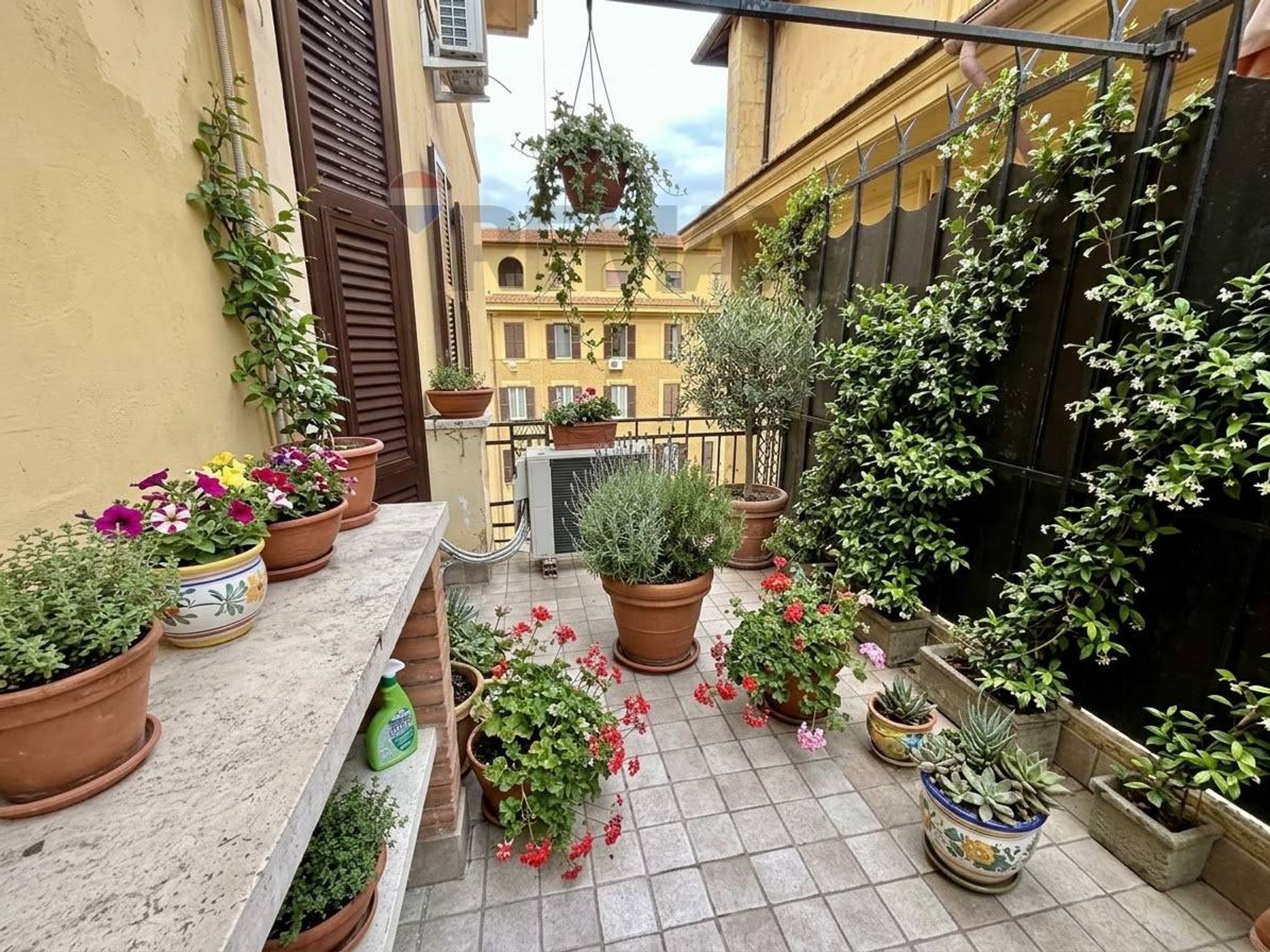 Terrazza