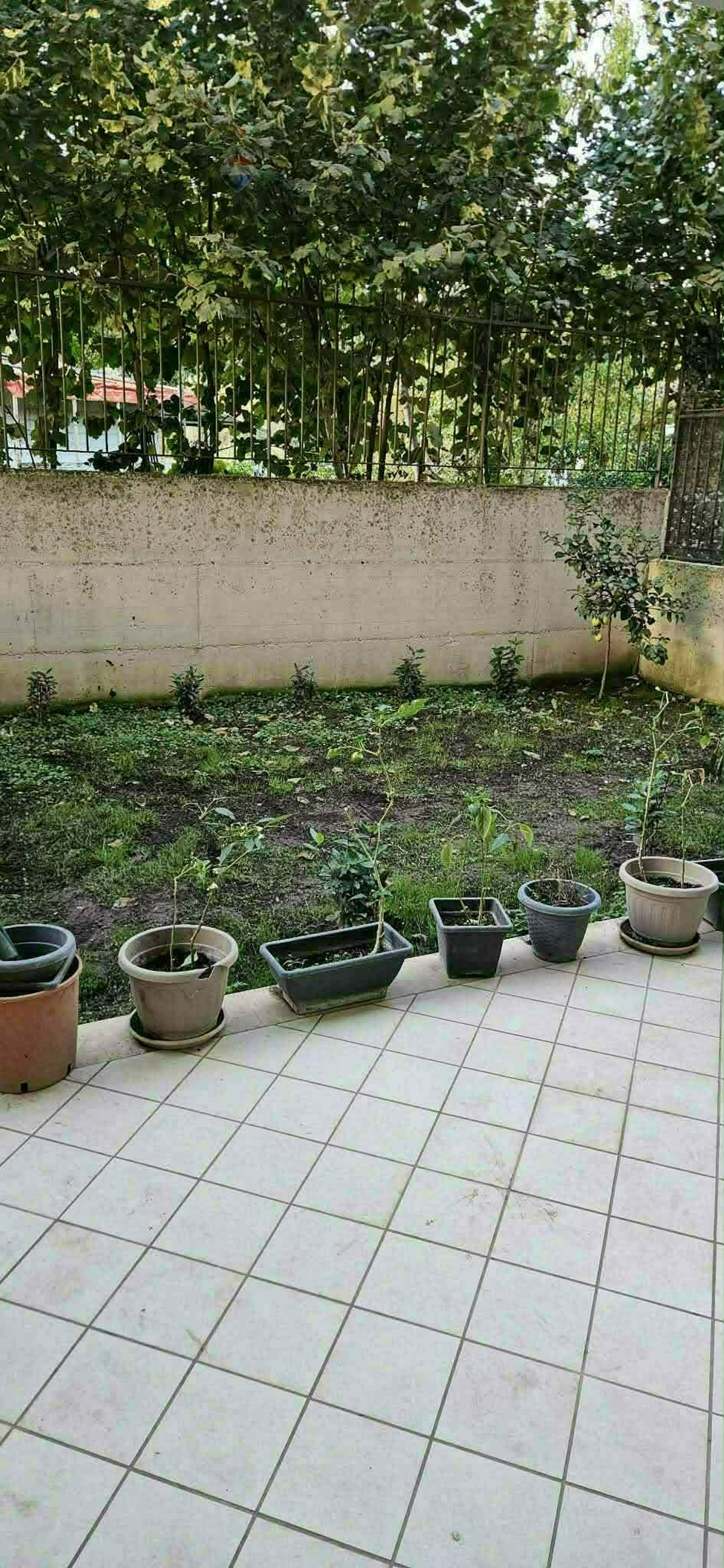 Terrazza