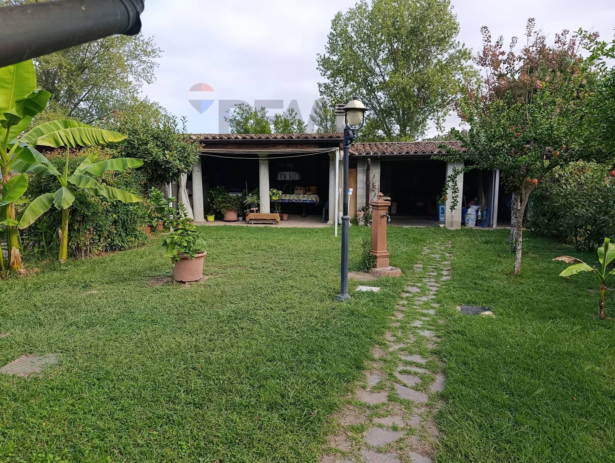 Giardino