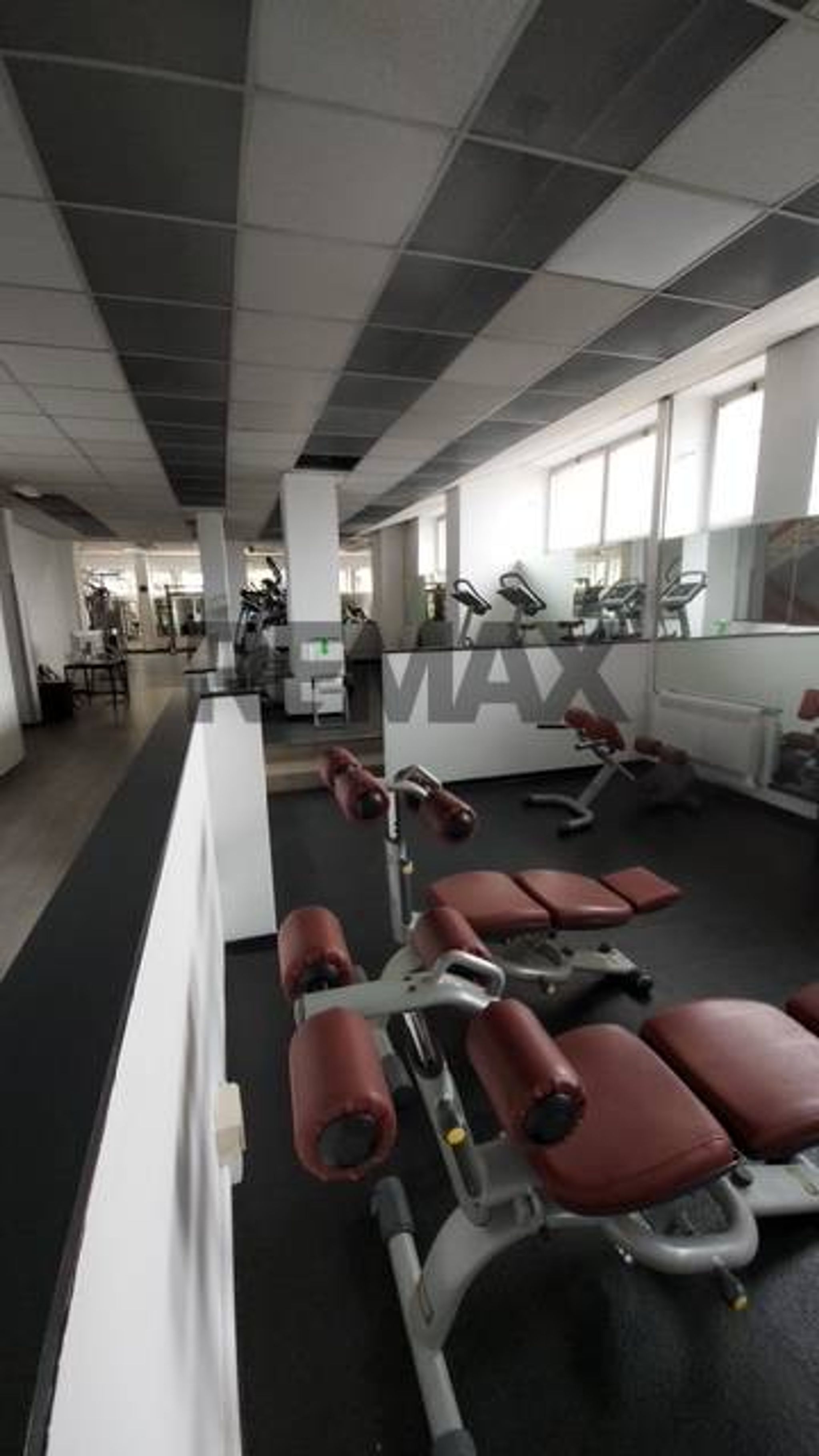 Palestra