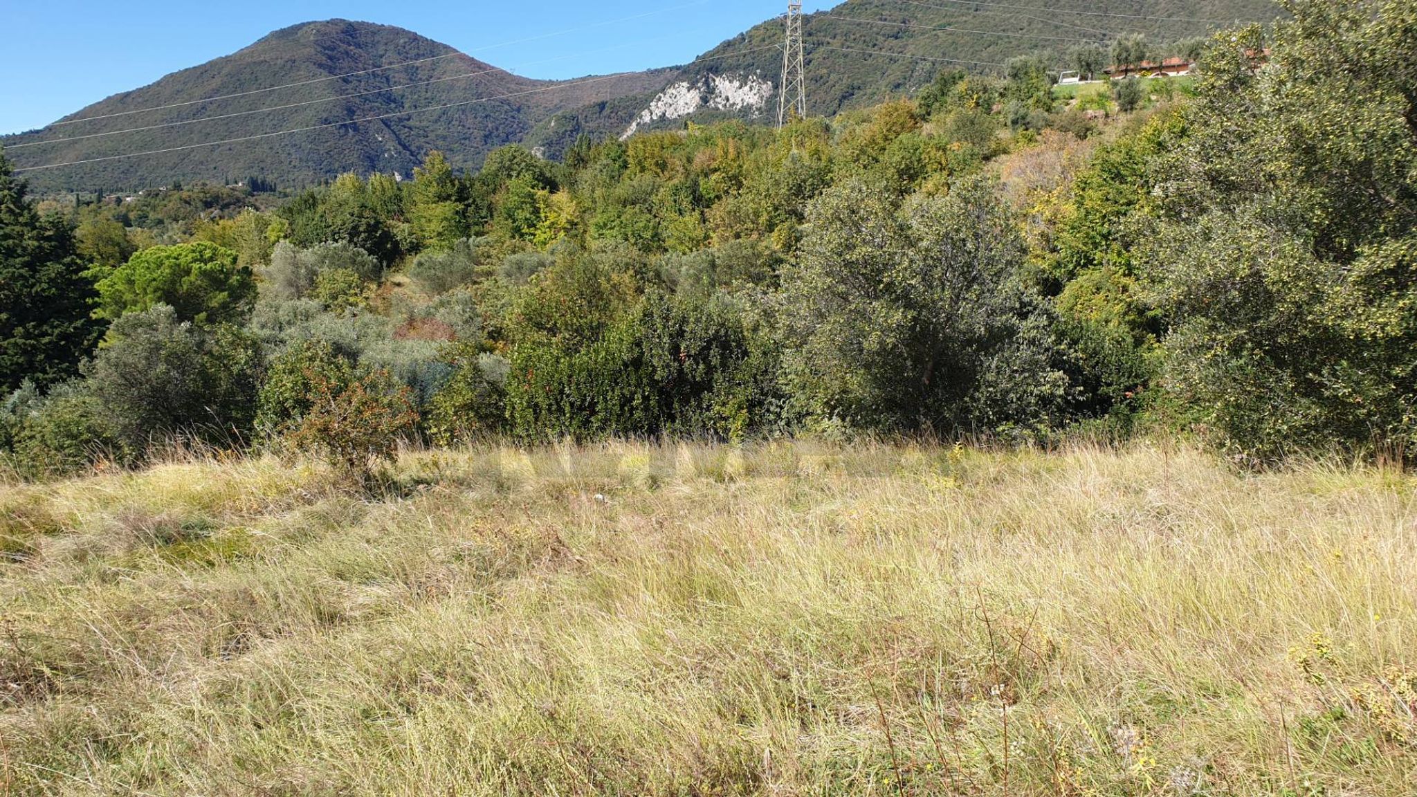 Vista delle montagne
