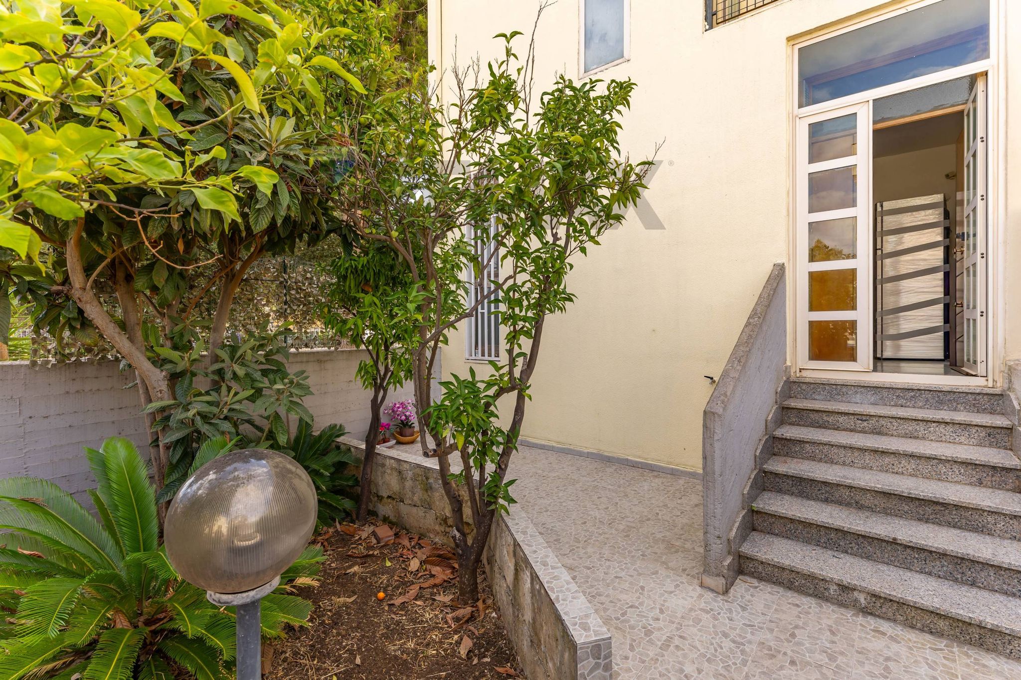 Giardino