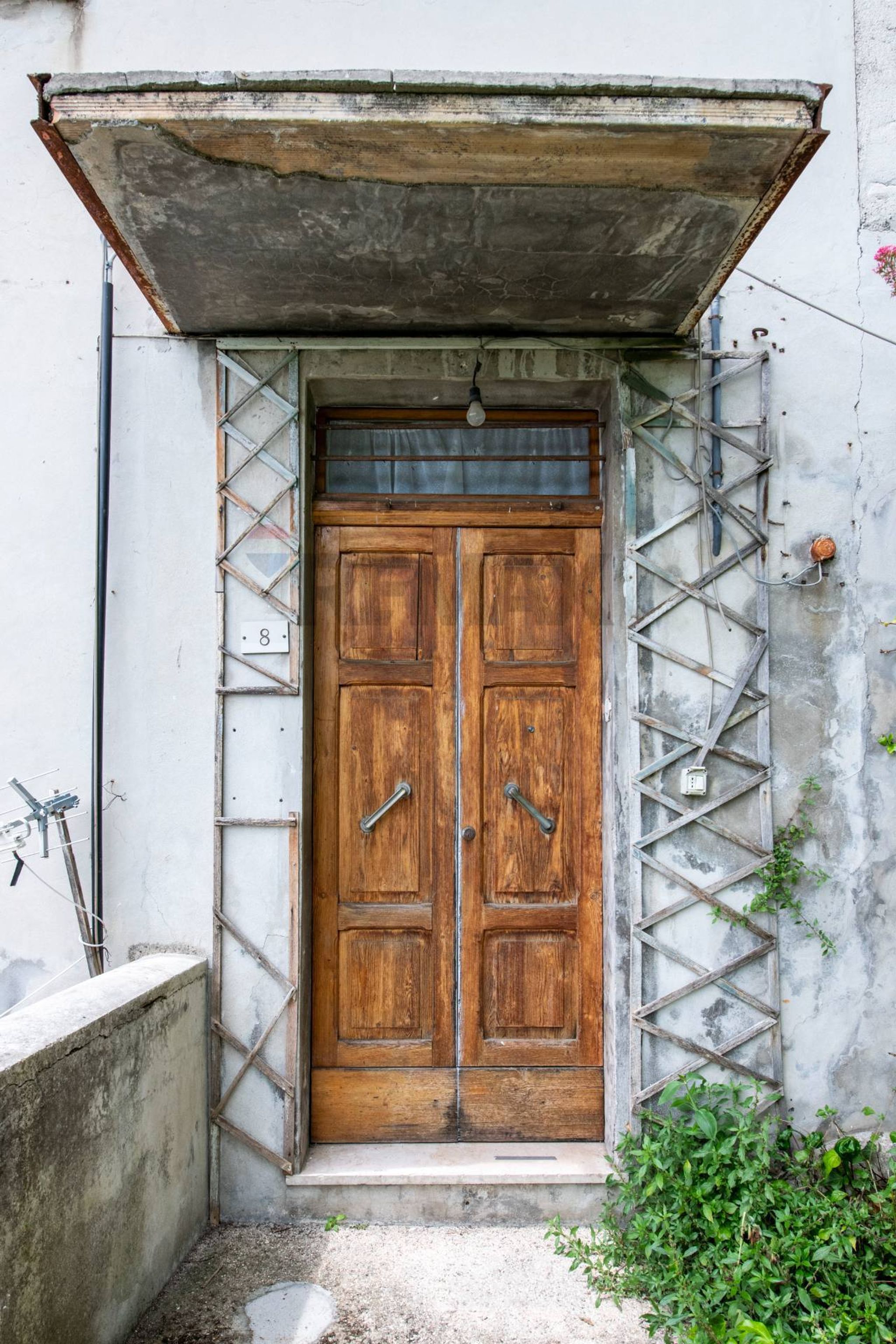 Ingresso