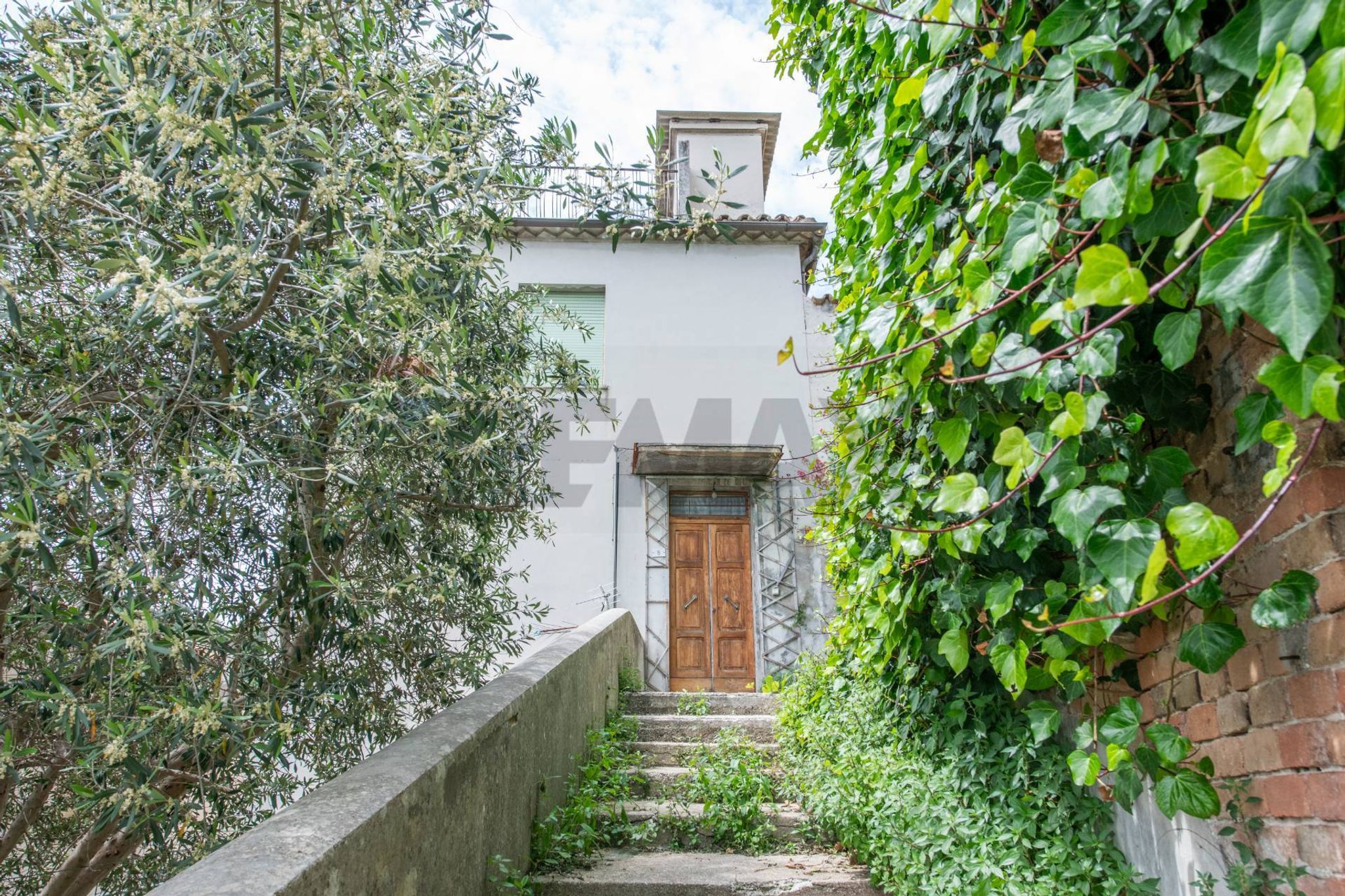Scala ingresso