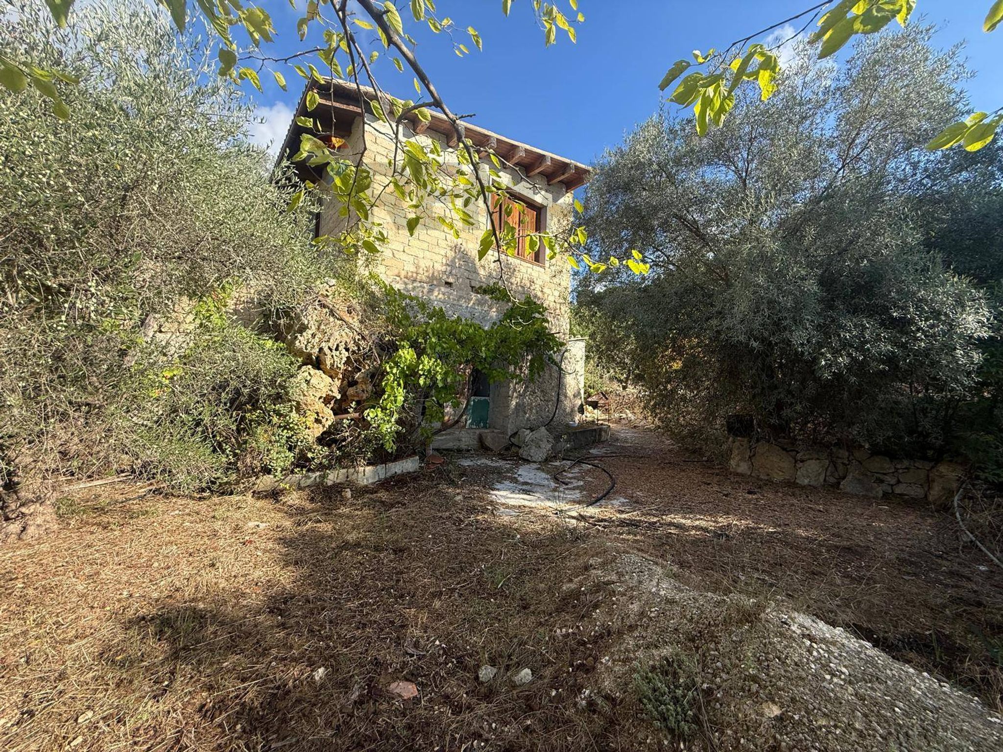 Foto 2