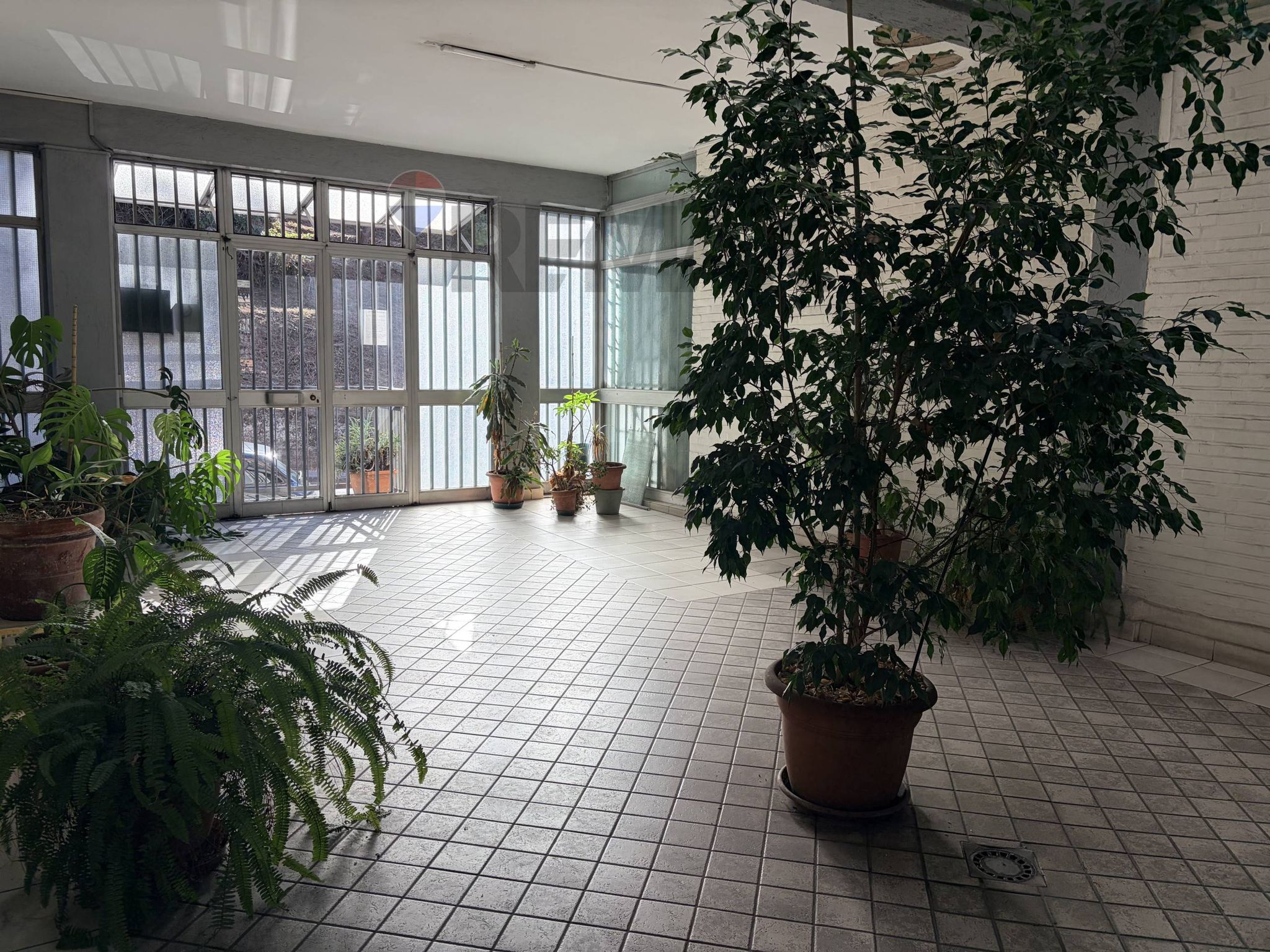 Terrazza