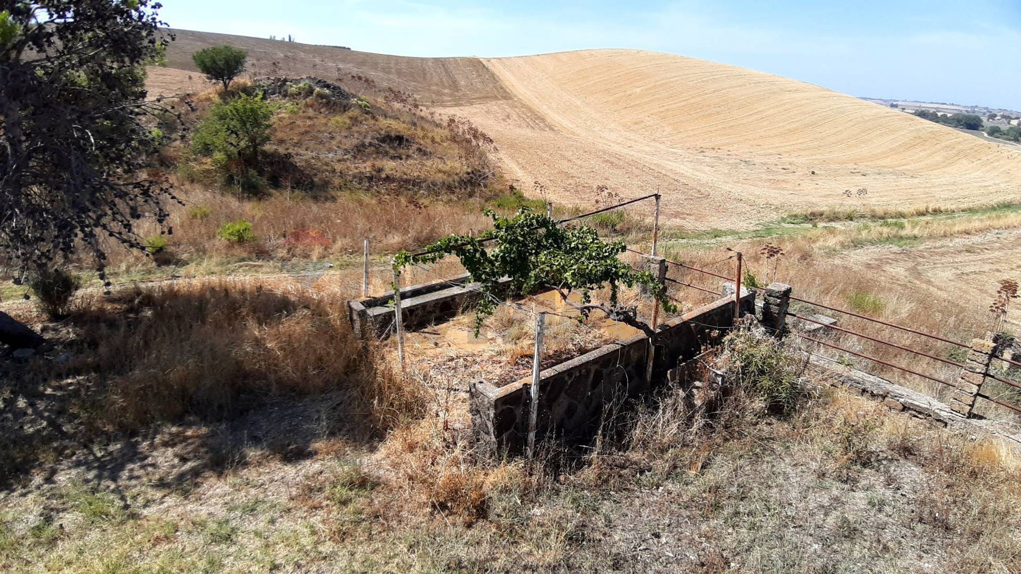Immobile a Tarquinia