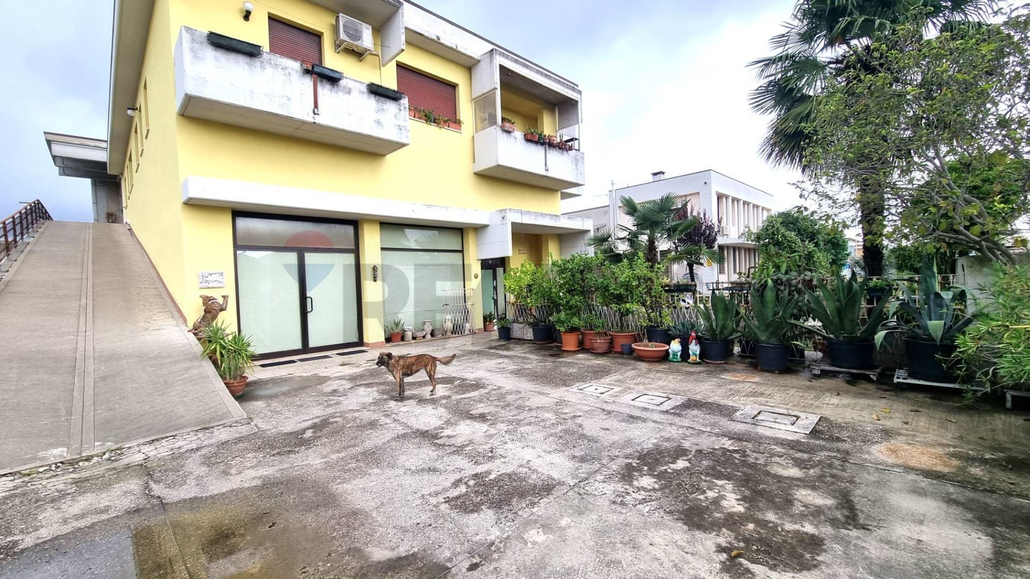 Property in Albignasego