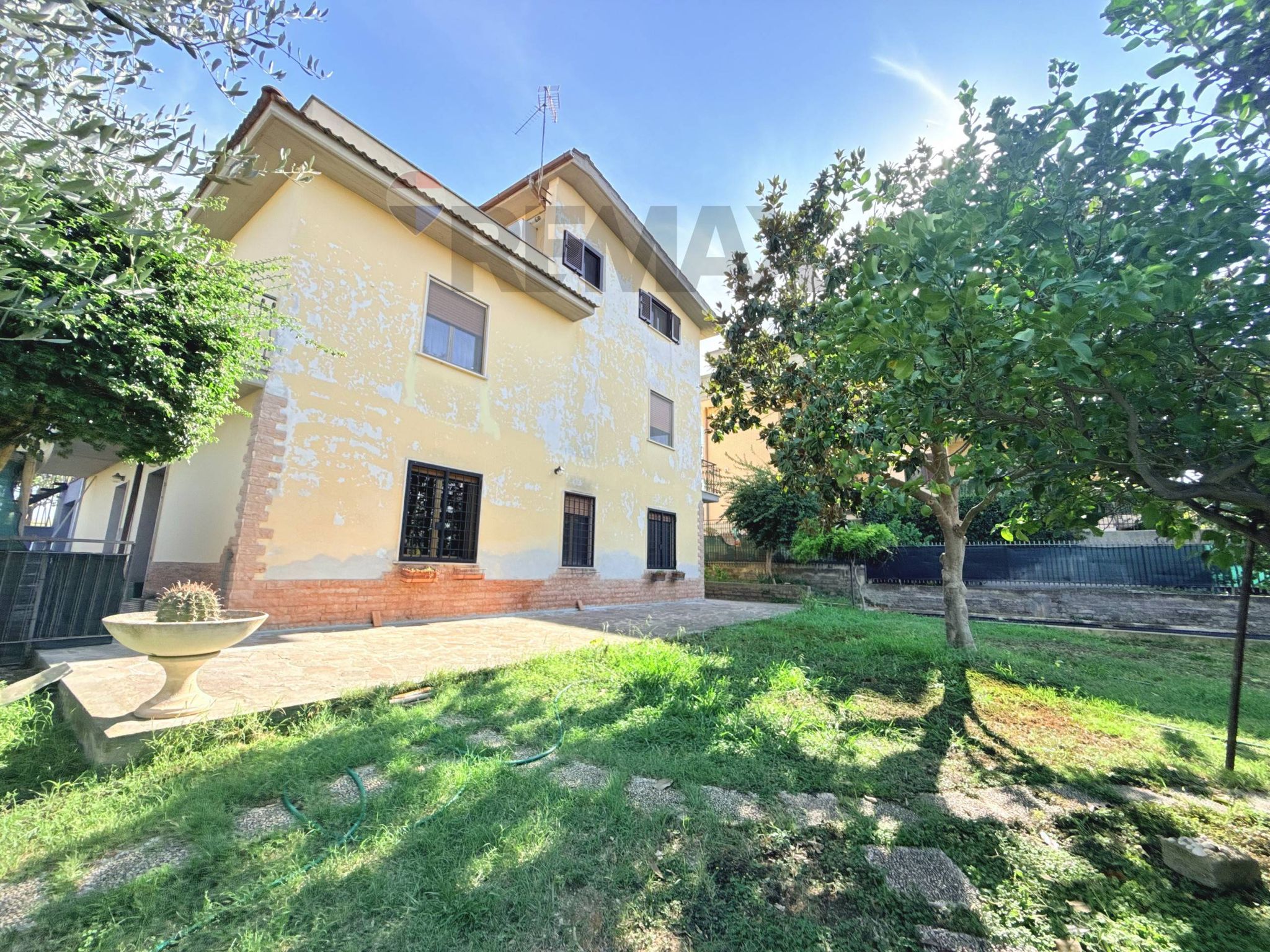 Property in Roma