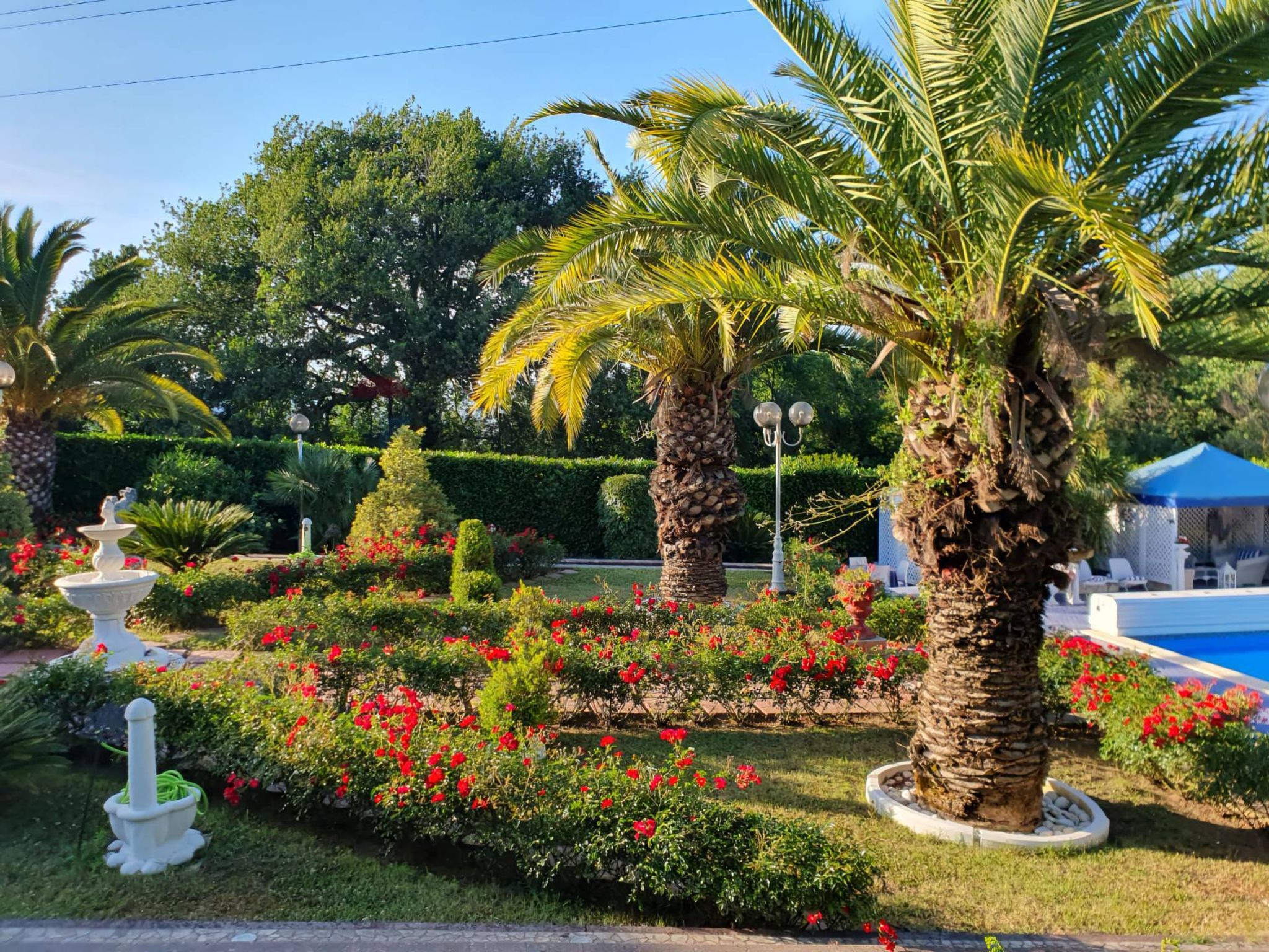 Giardino