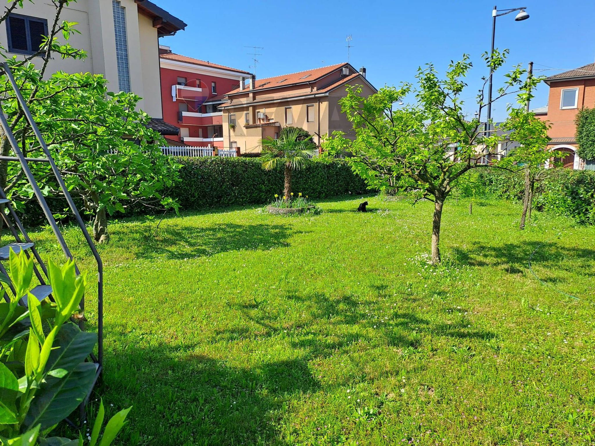Property in Arese