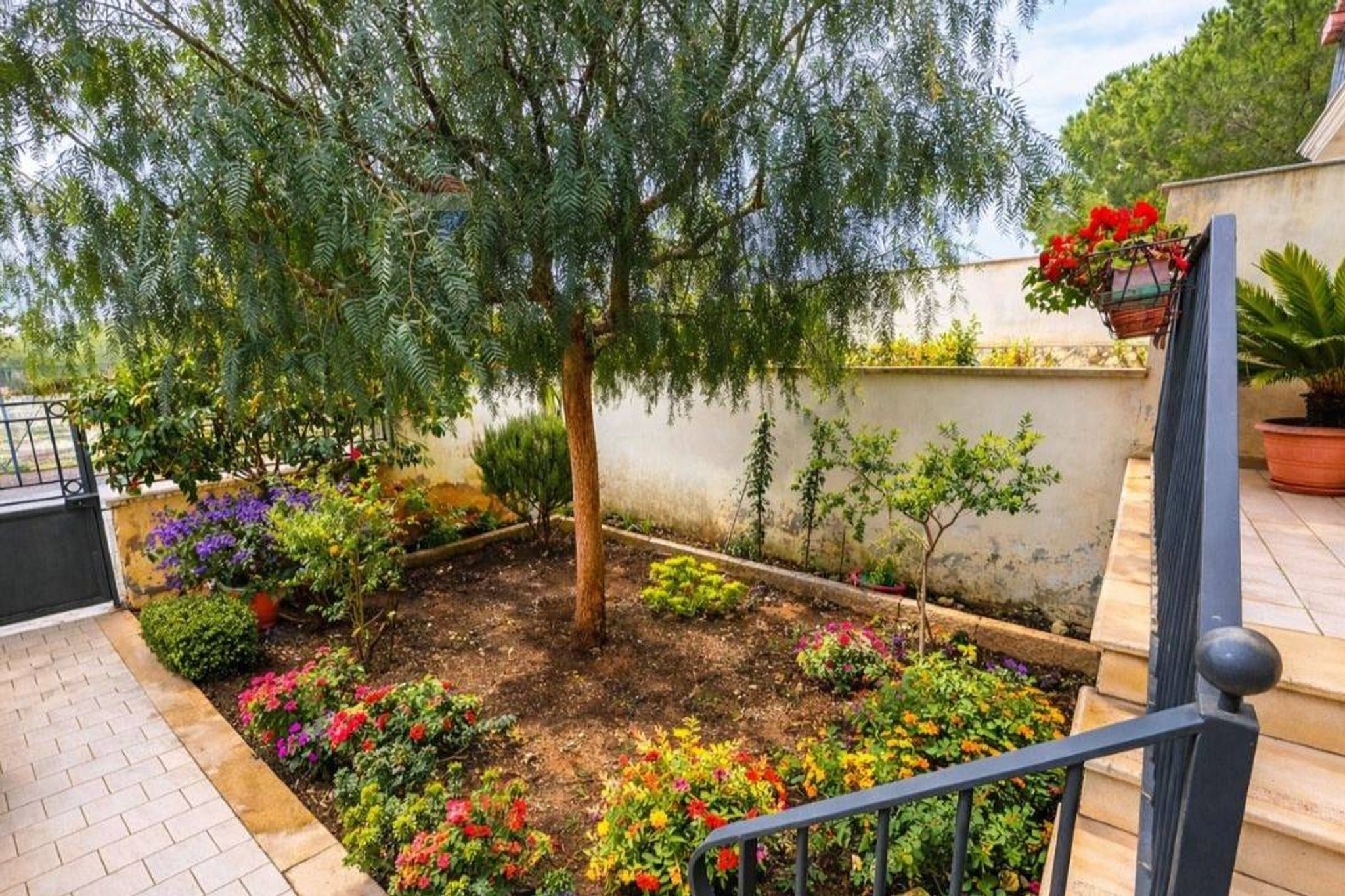 Giardino
