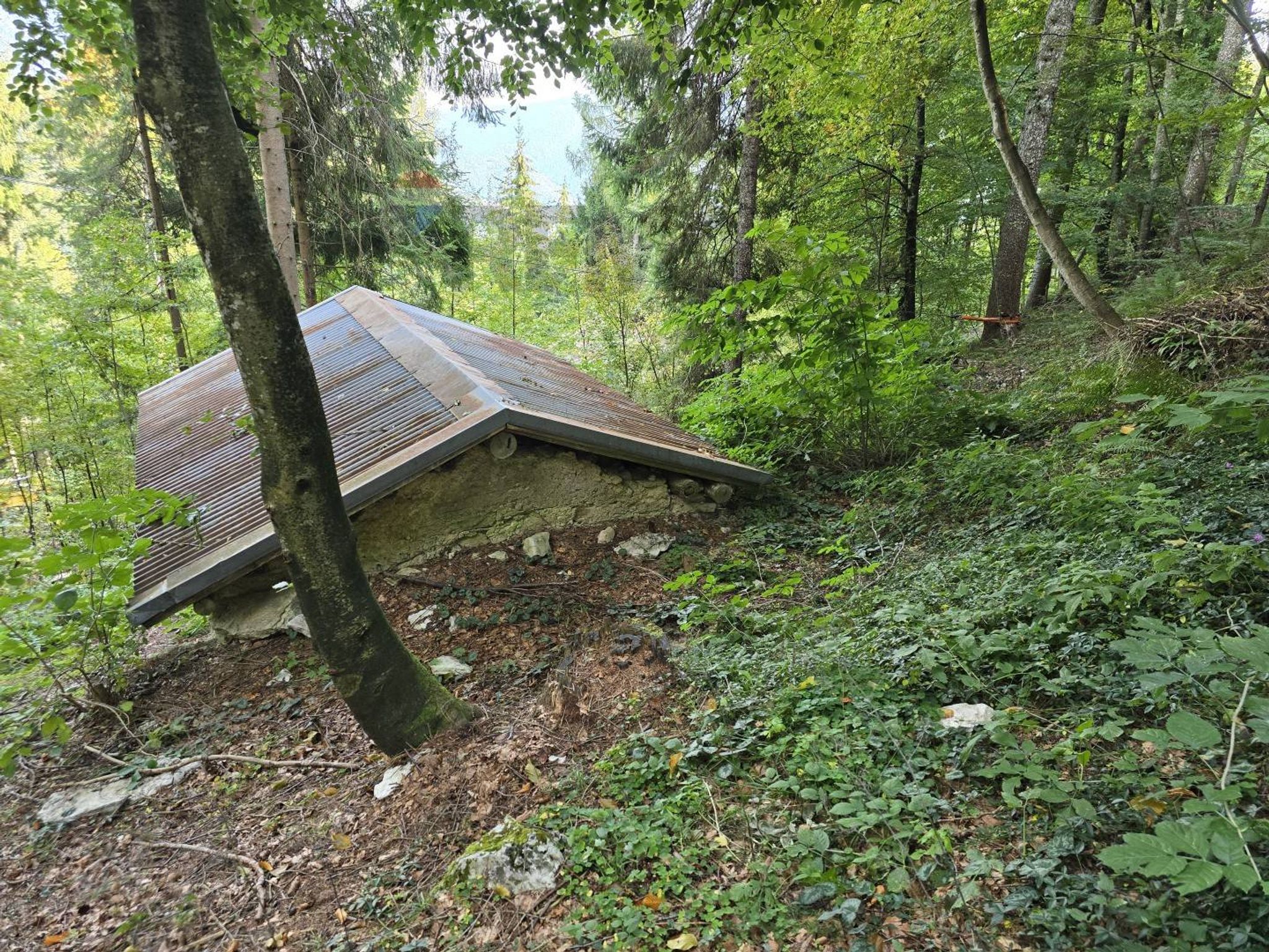 Giardino
