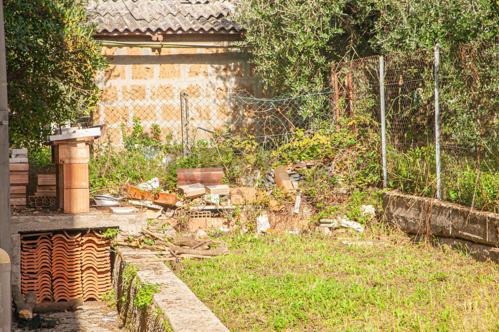 Giardino