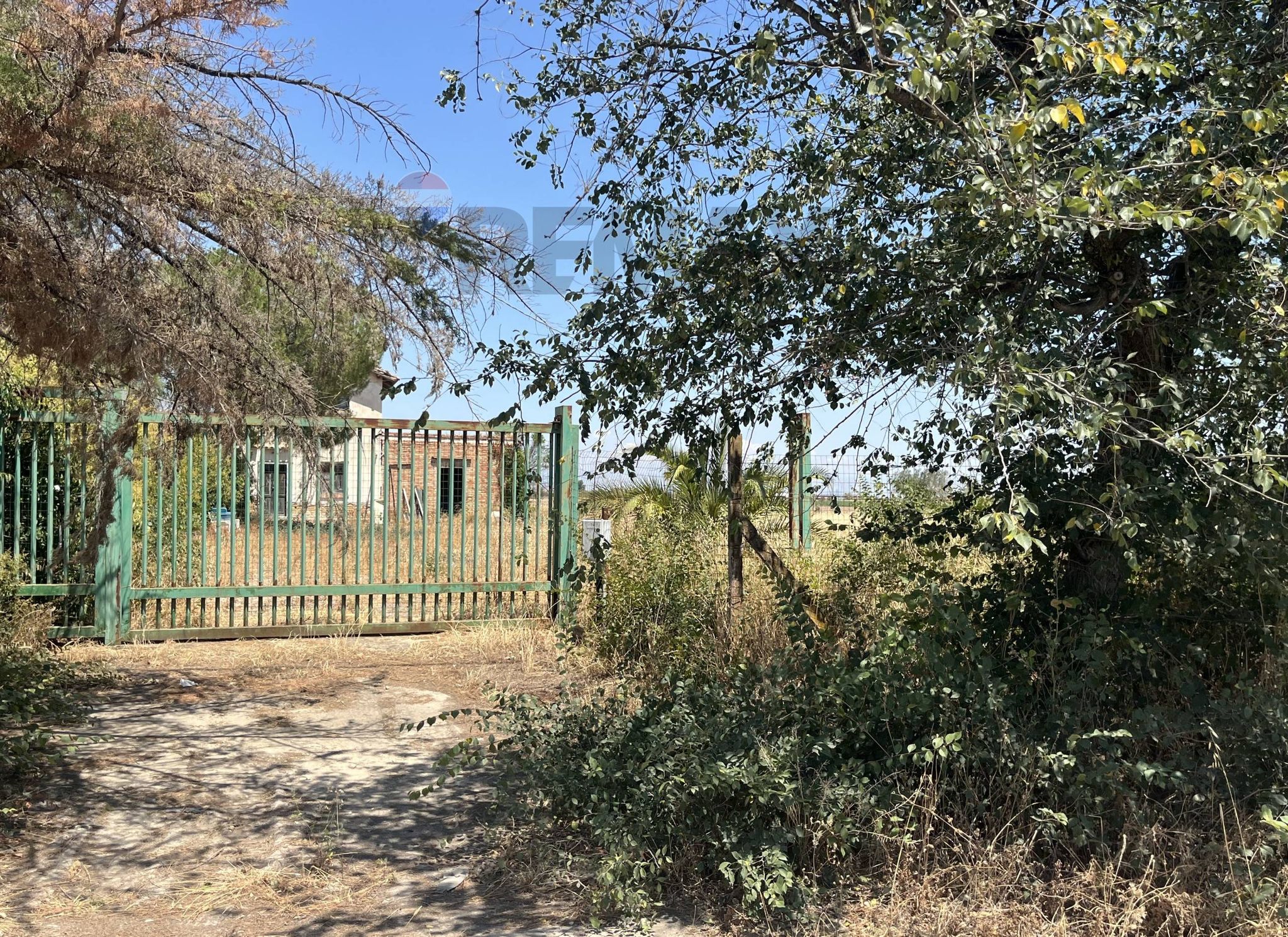 Giardino