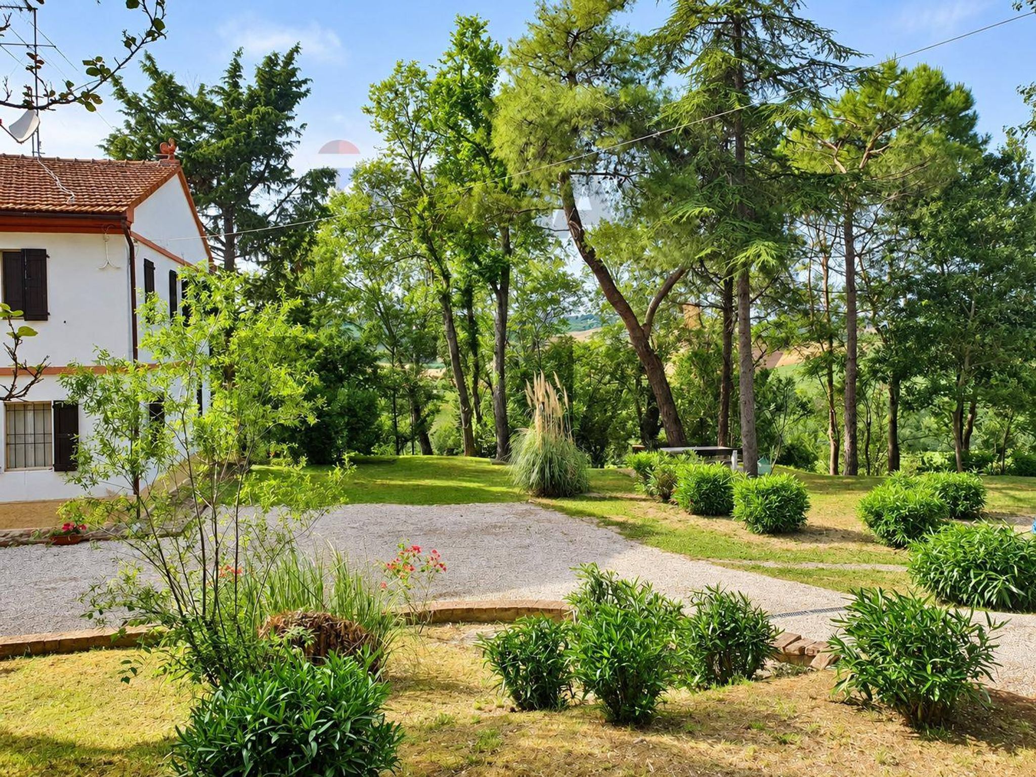 Giardino