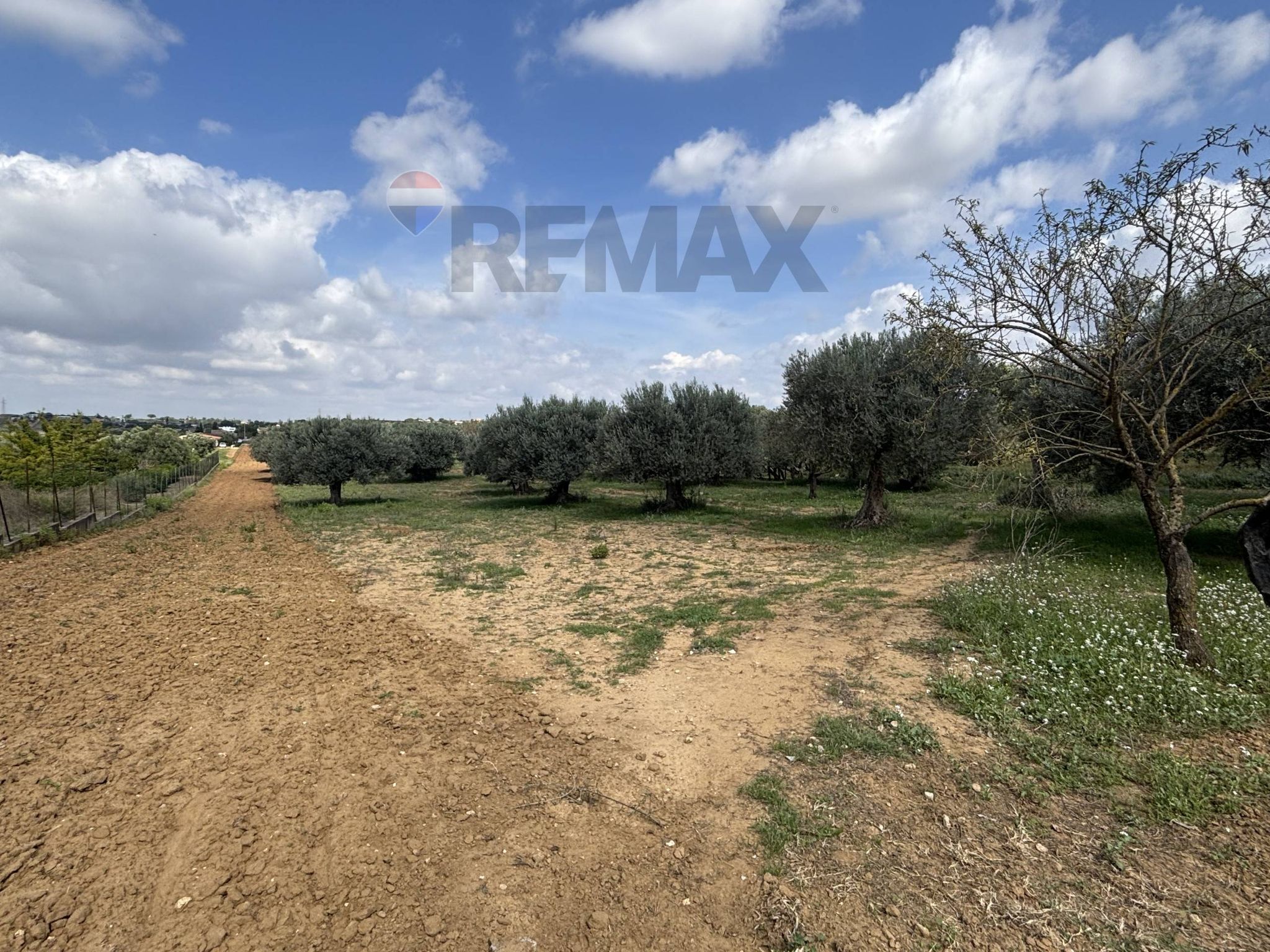 Property in Grammichele