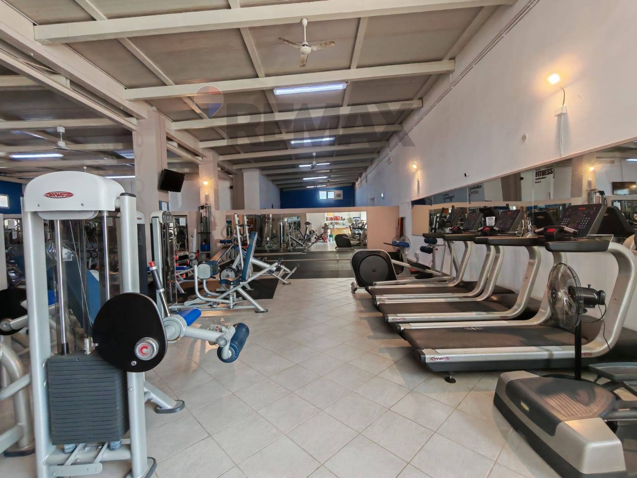Palestra