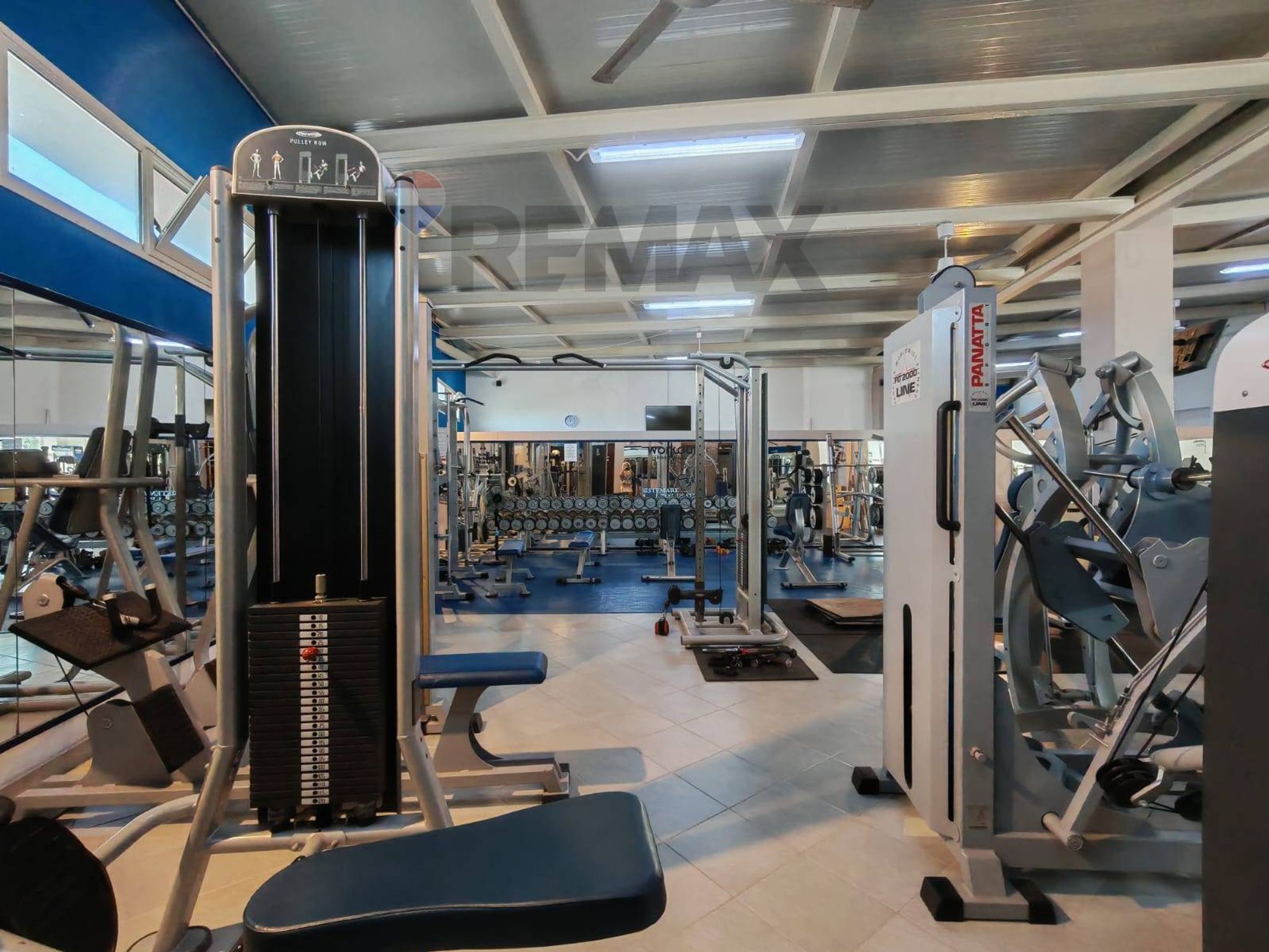 Palestra