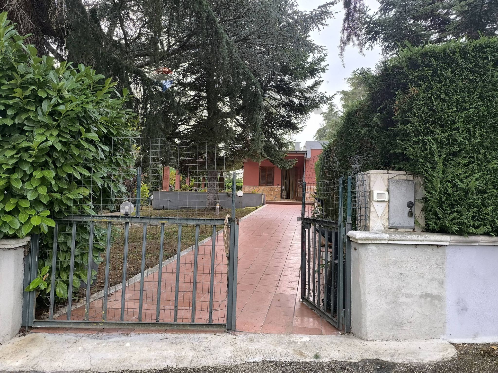Non correlato