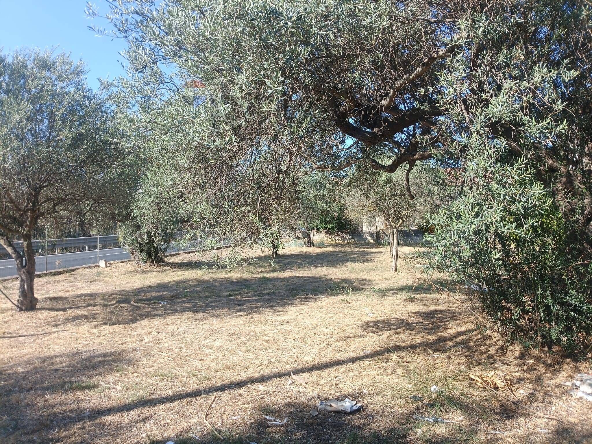 Foto principale