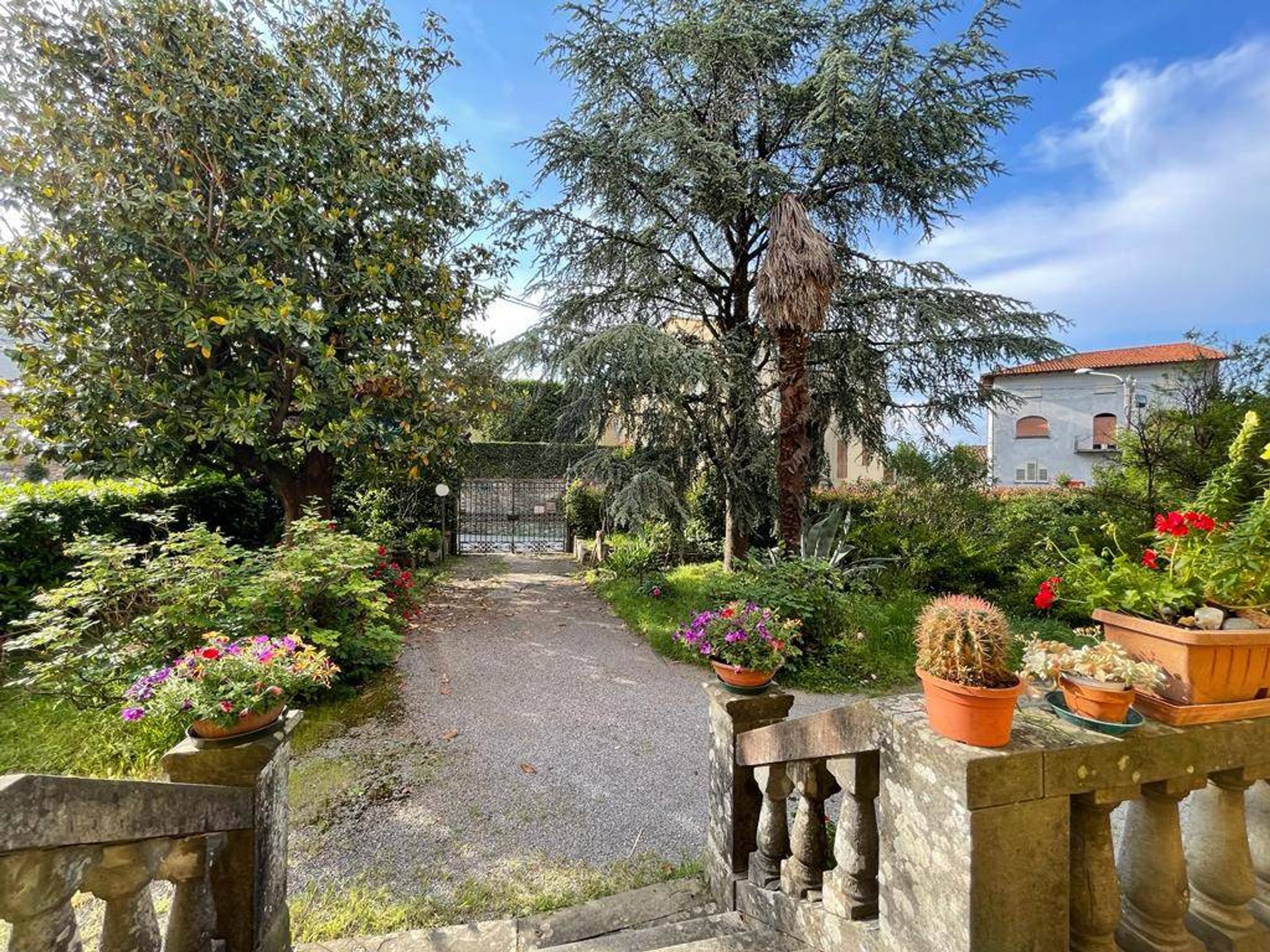 Giardino